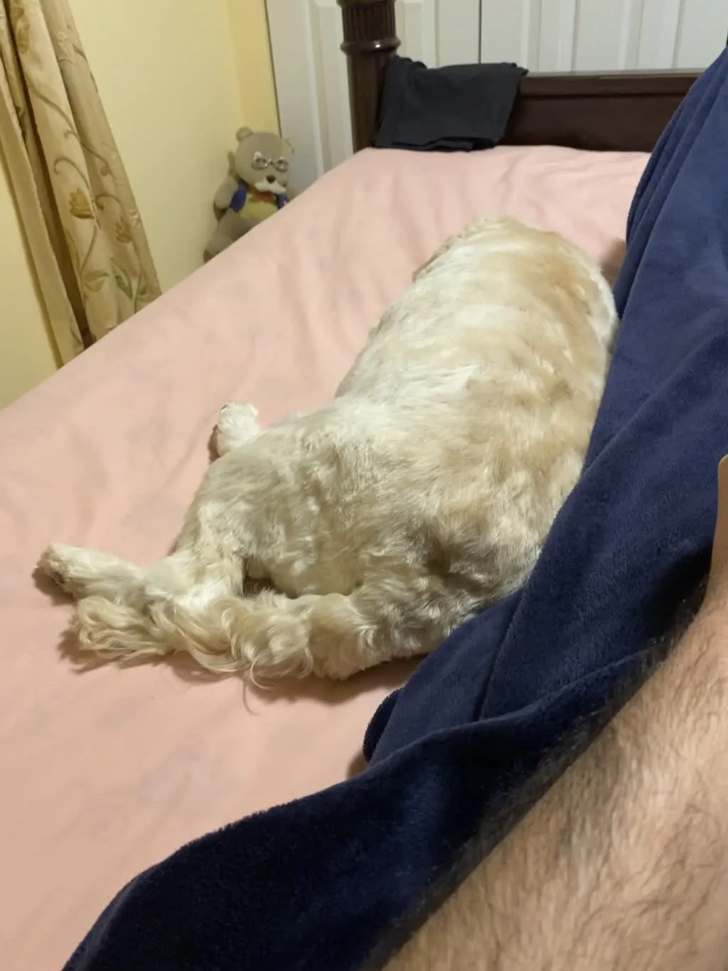 1779063121857 ed9xkf IMG 0883