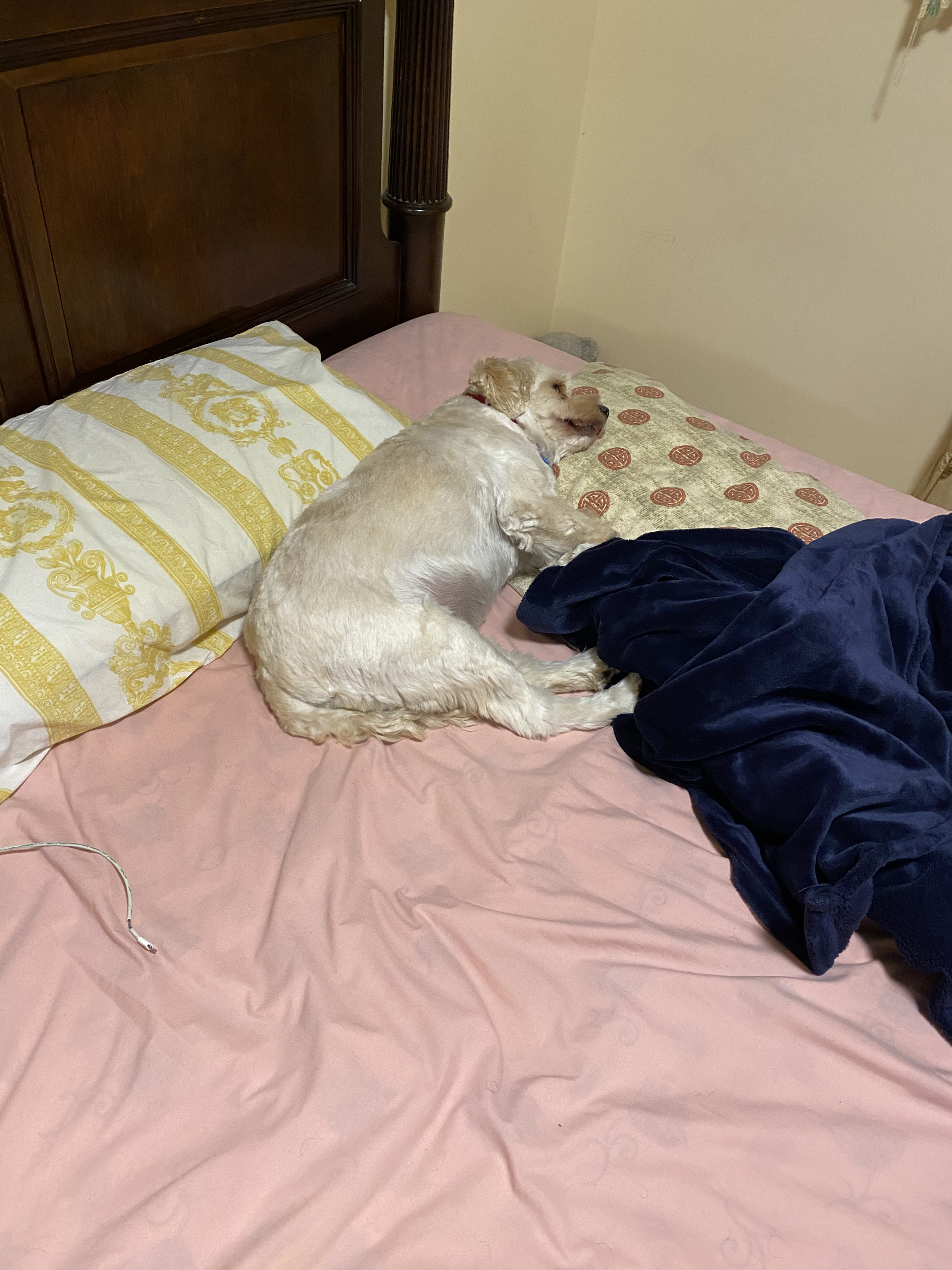 1779063135937 vjk6y7 IMG 0980