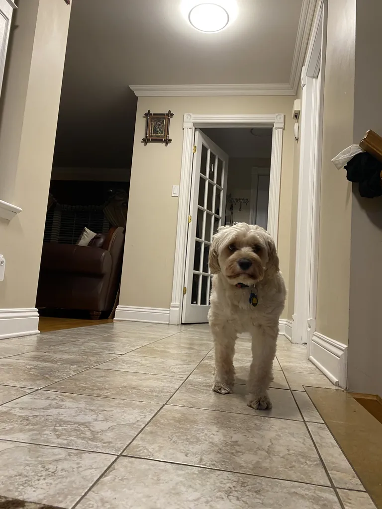 1779063137292 qyzaav IMG 0621 1 