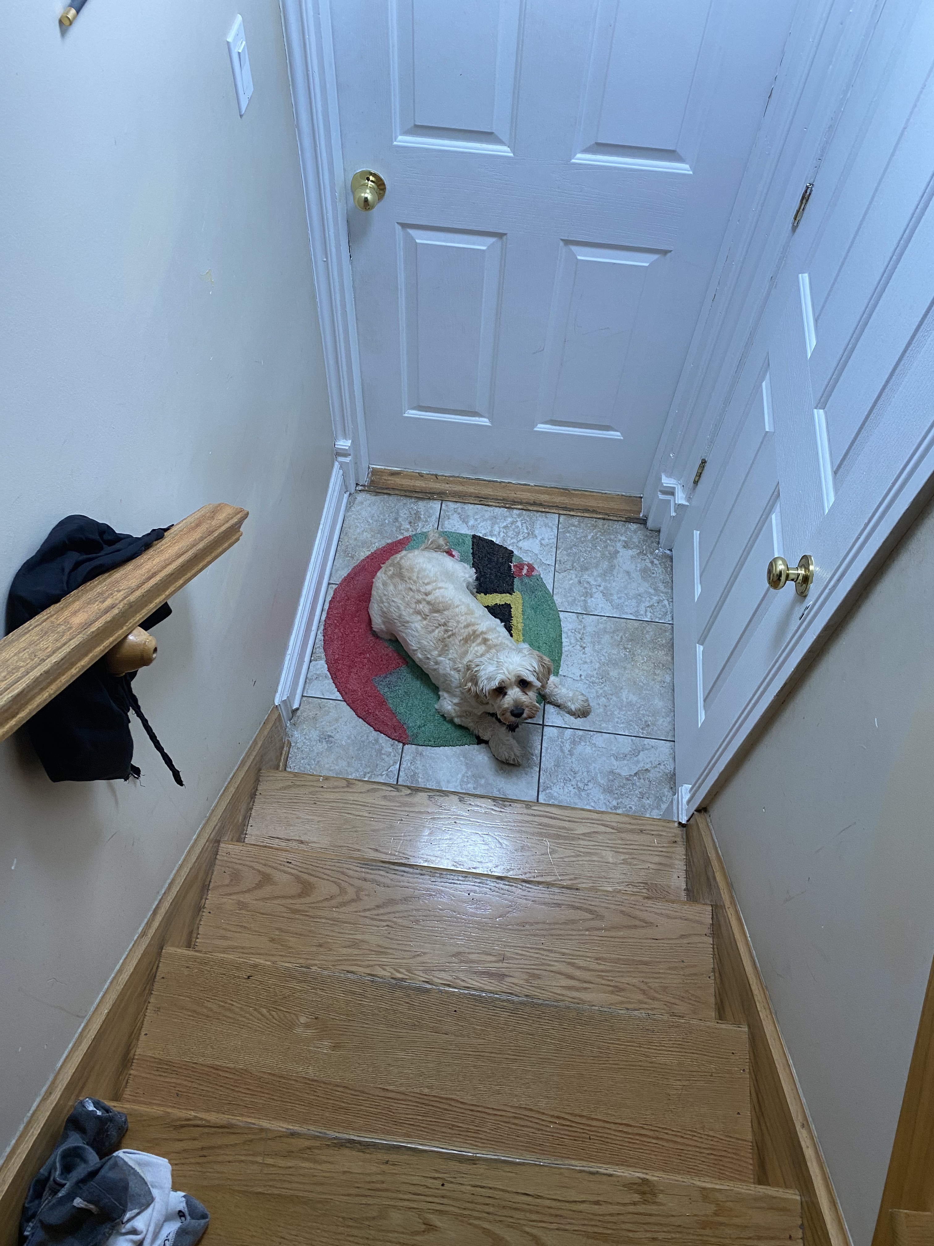 1779063145785 8lr32c IMG 0412