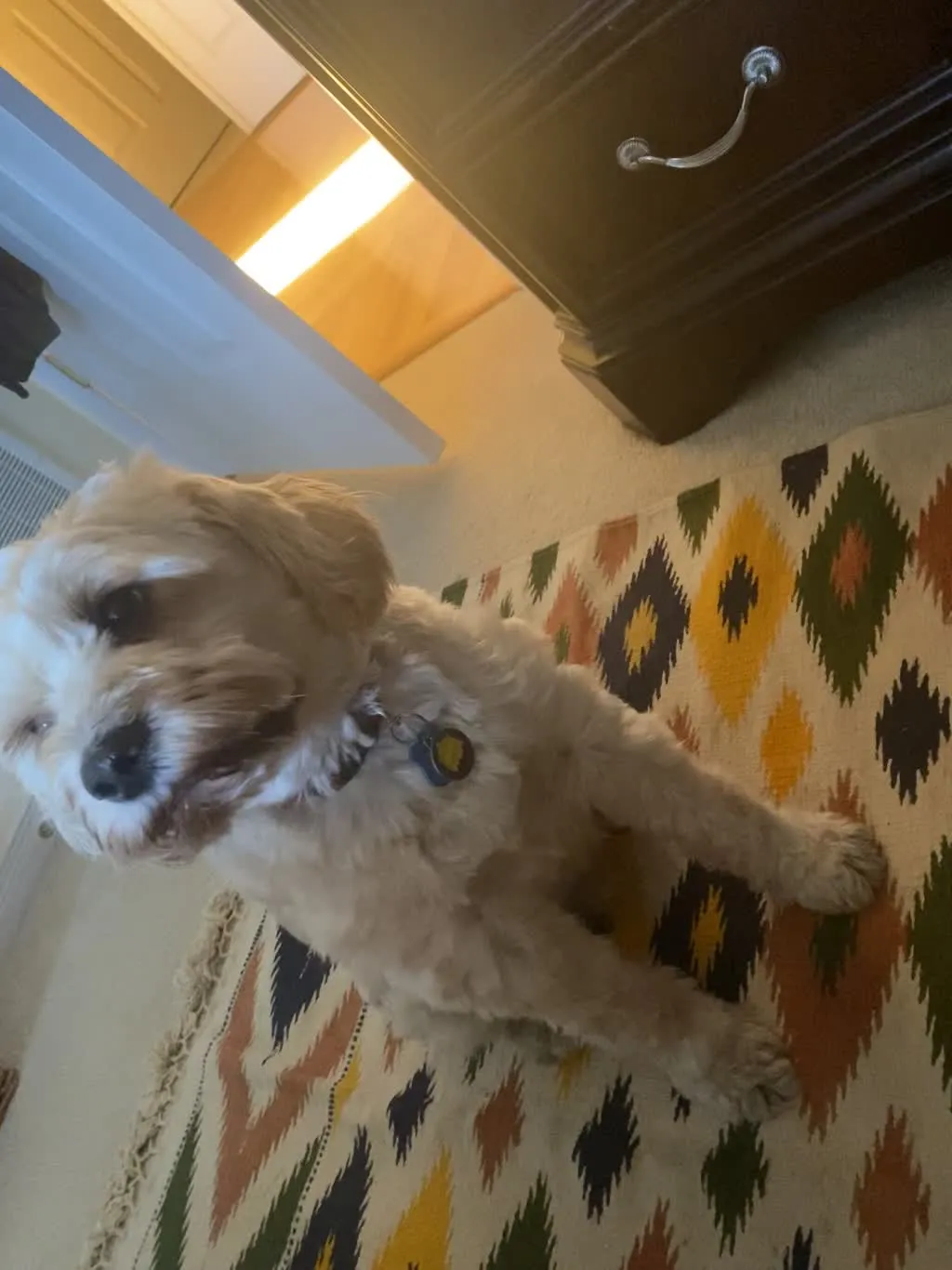 1779063146209 vbd4uy IMG 0638 1 