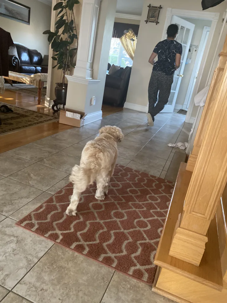 1779063161630 30xzwv IMG 9767