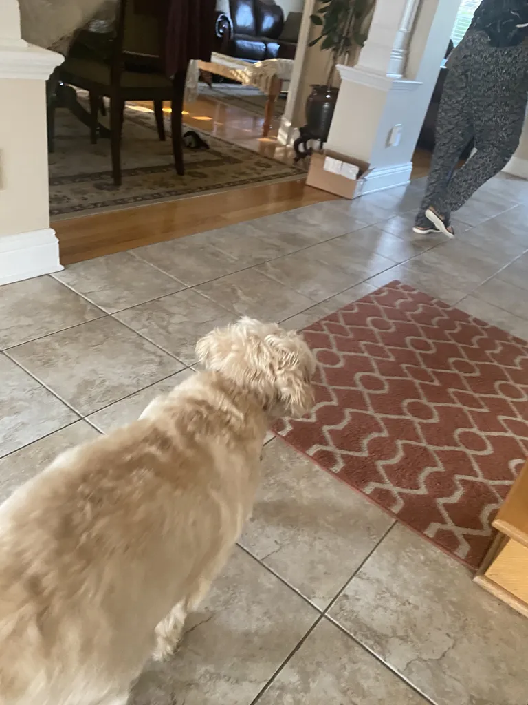 1779063162248 7w47ry IMG 9765