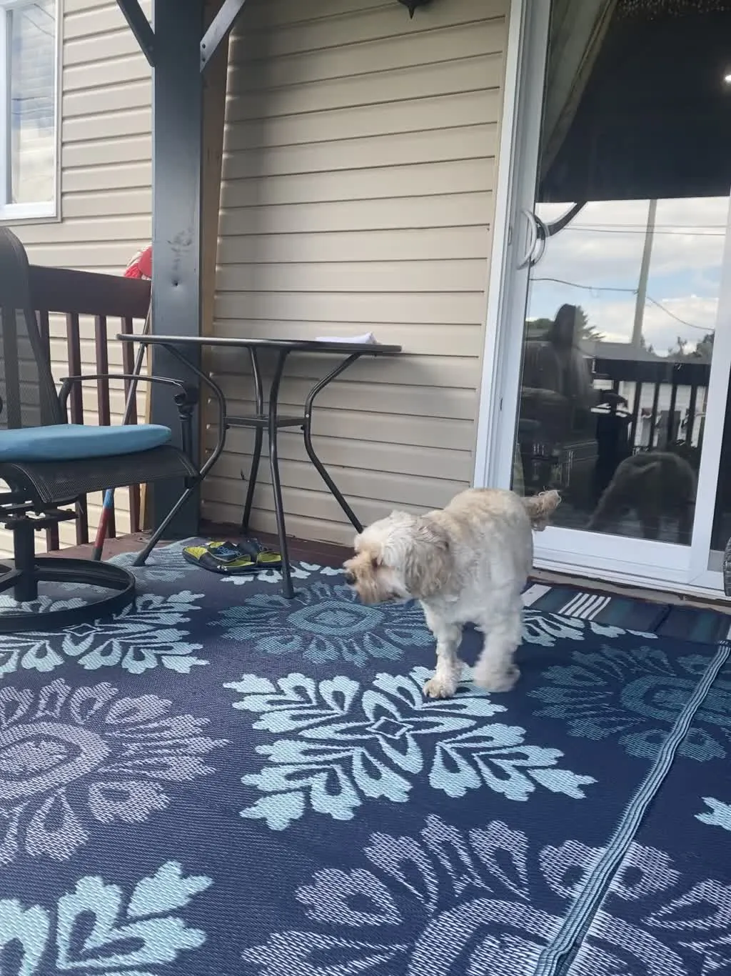 1779063194064 g59xrx IMG 9540