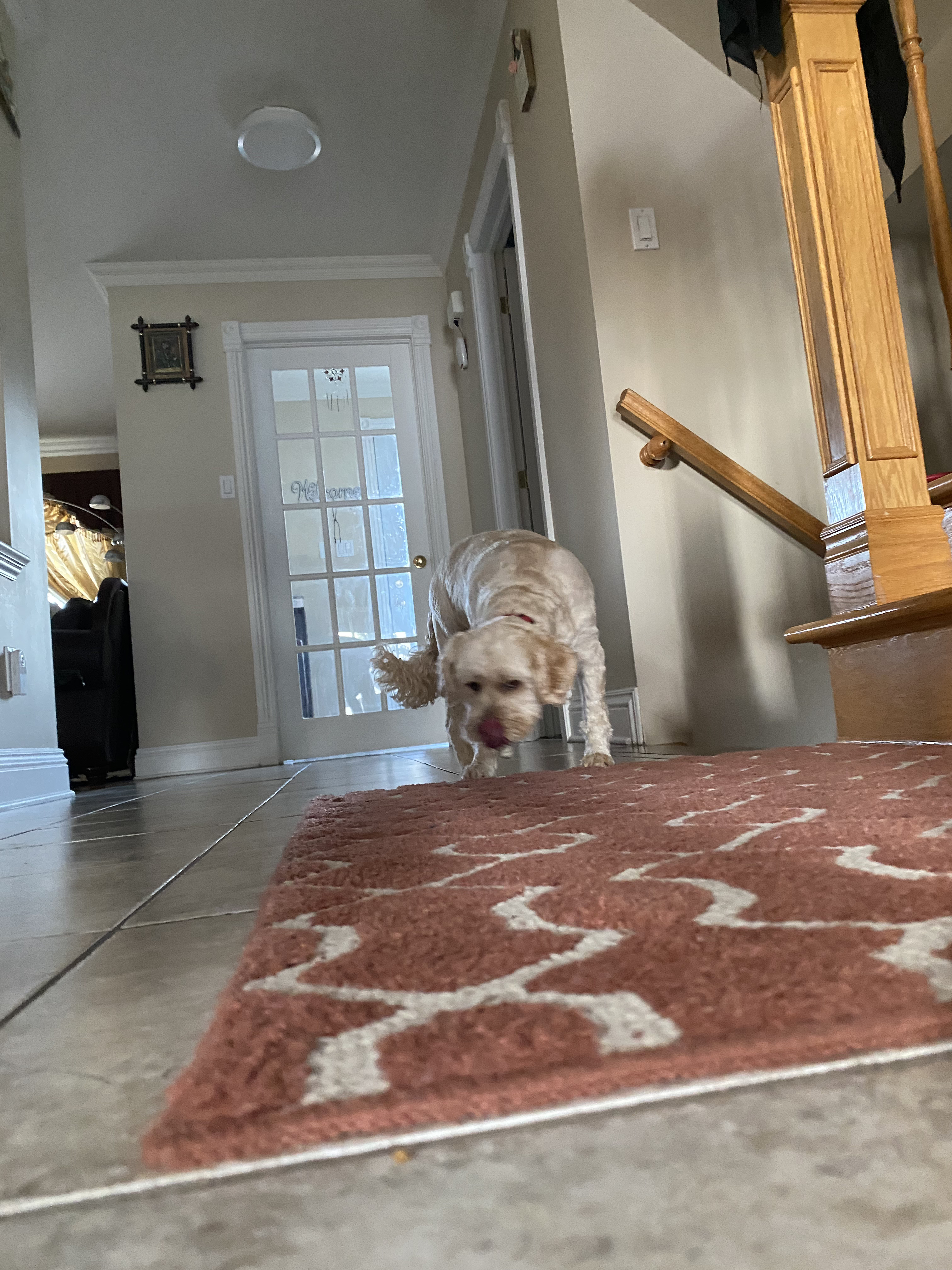 1779063240158 e8042t IMG 7986