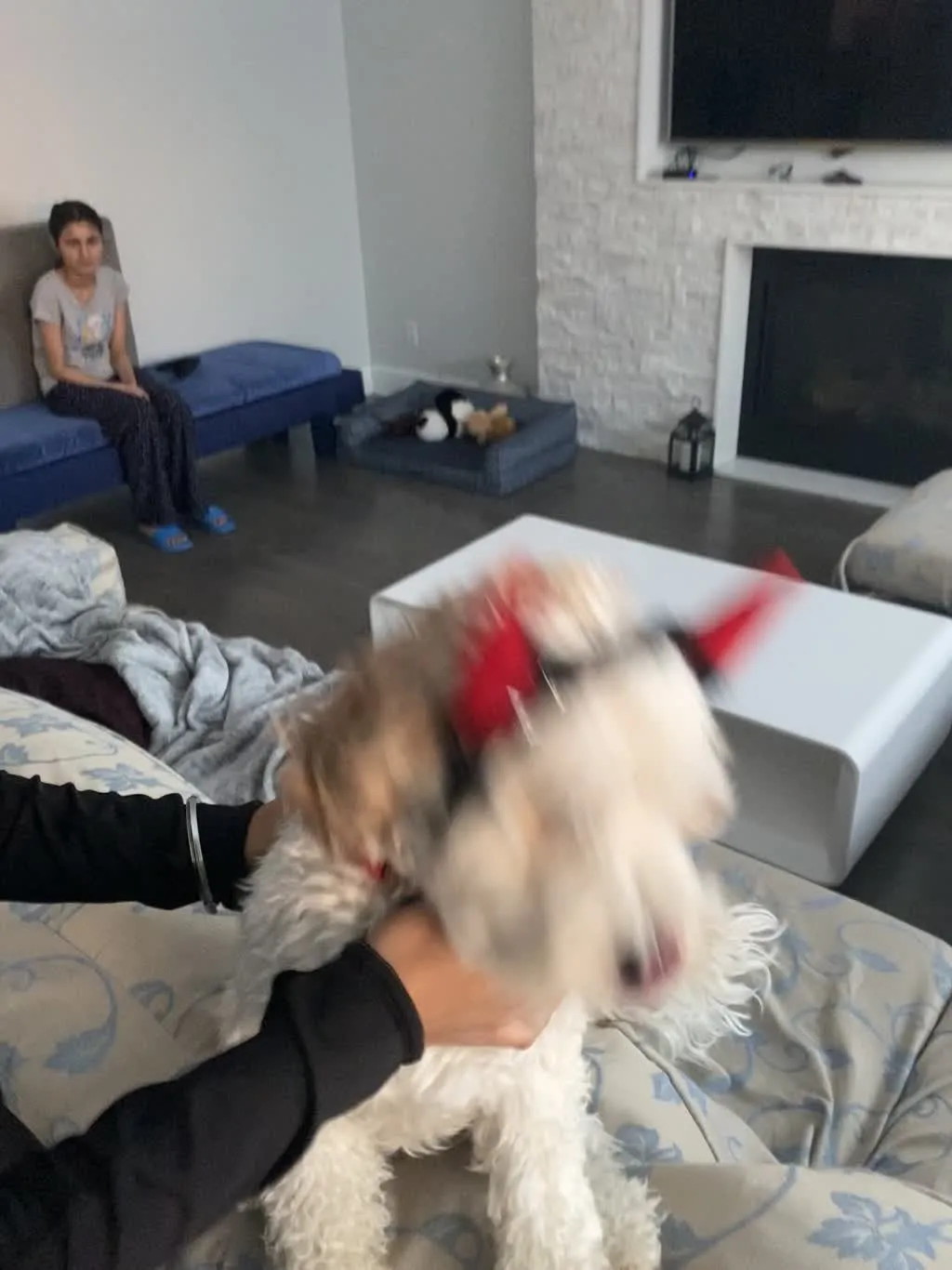 1779063262731 ggvc7x IMG 3959