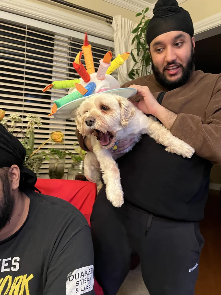 1779063277157 qkxsrv IMG 3238 1 