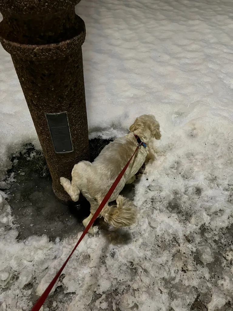 1779063277799 0xddrm IMG 3247