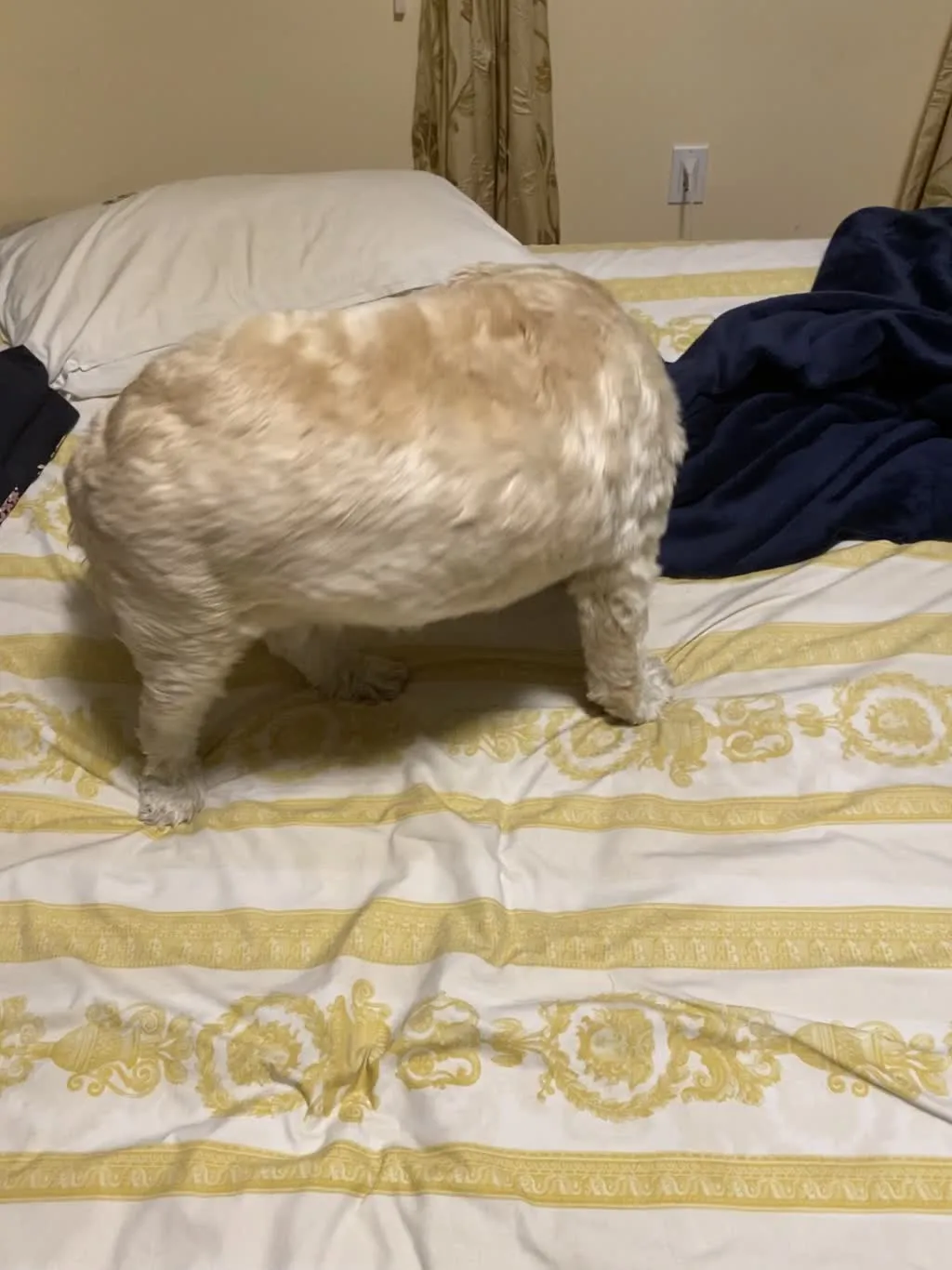 1779063278341 x00rby IMG 7289