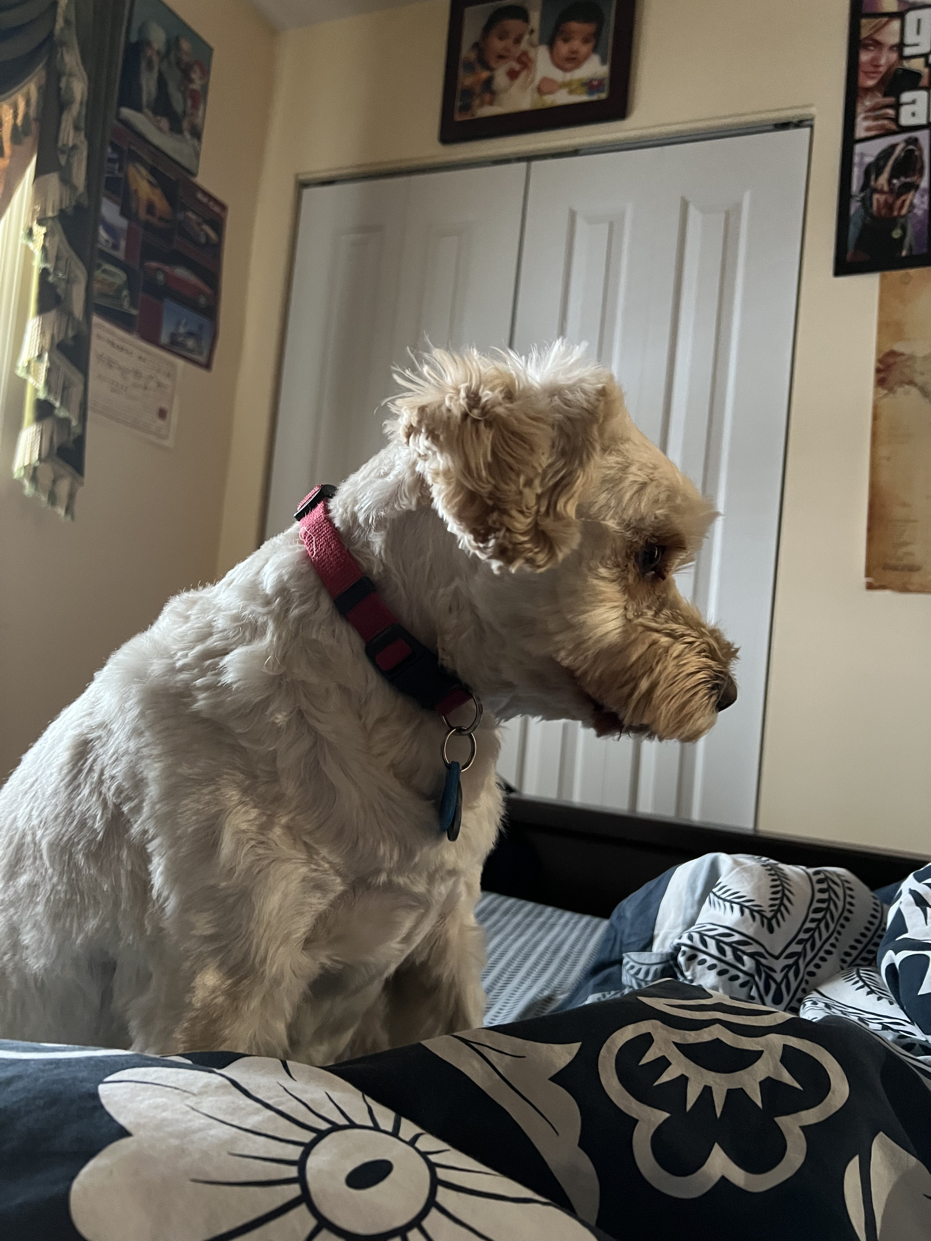 1779063287035 l2795n IMG 3144