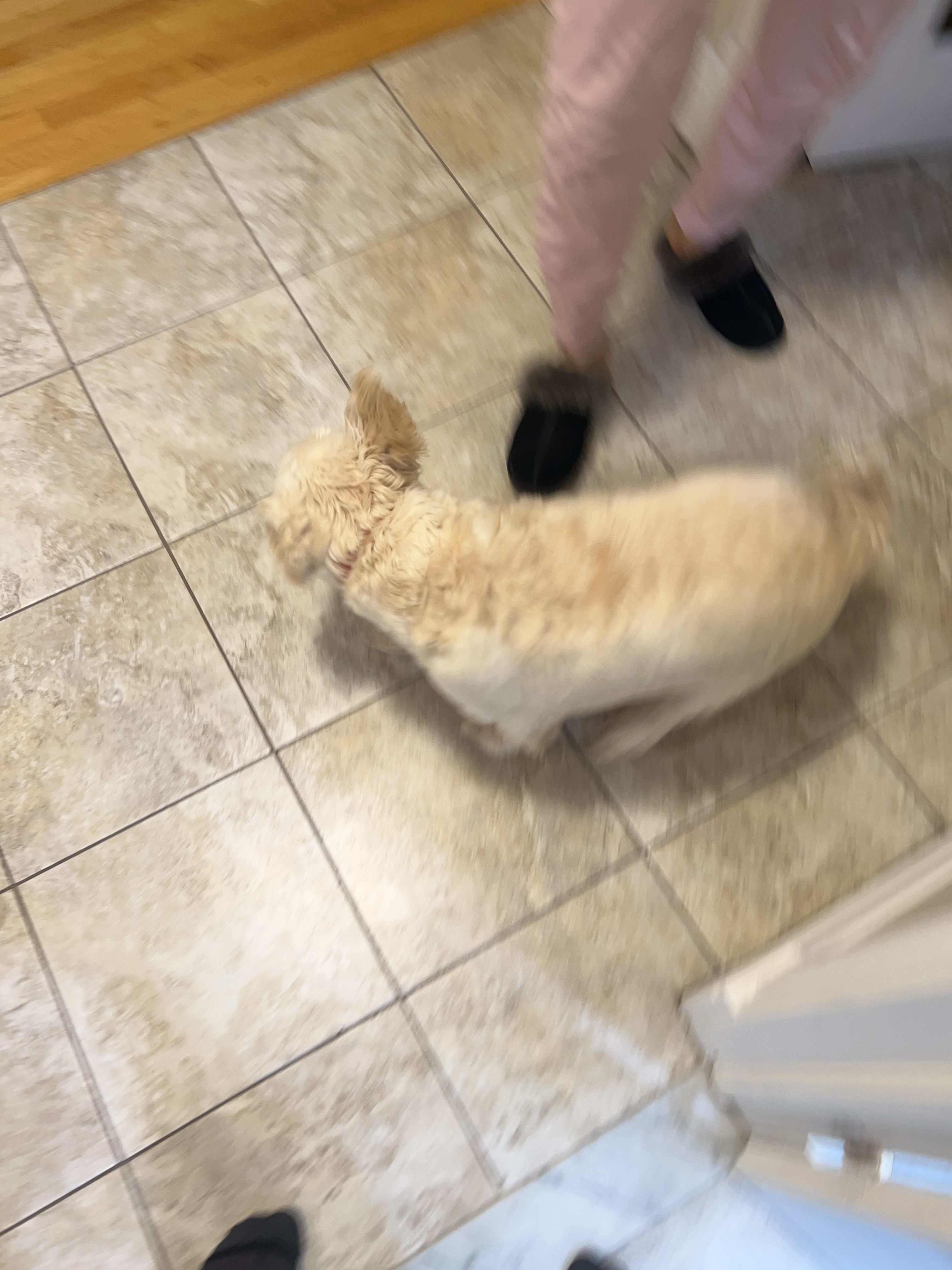 1779063299784 9adz8n IMG 2718