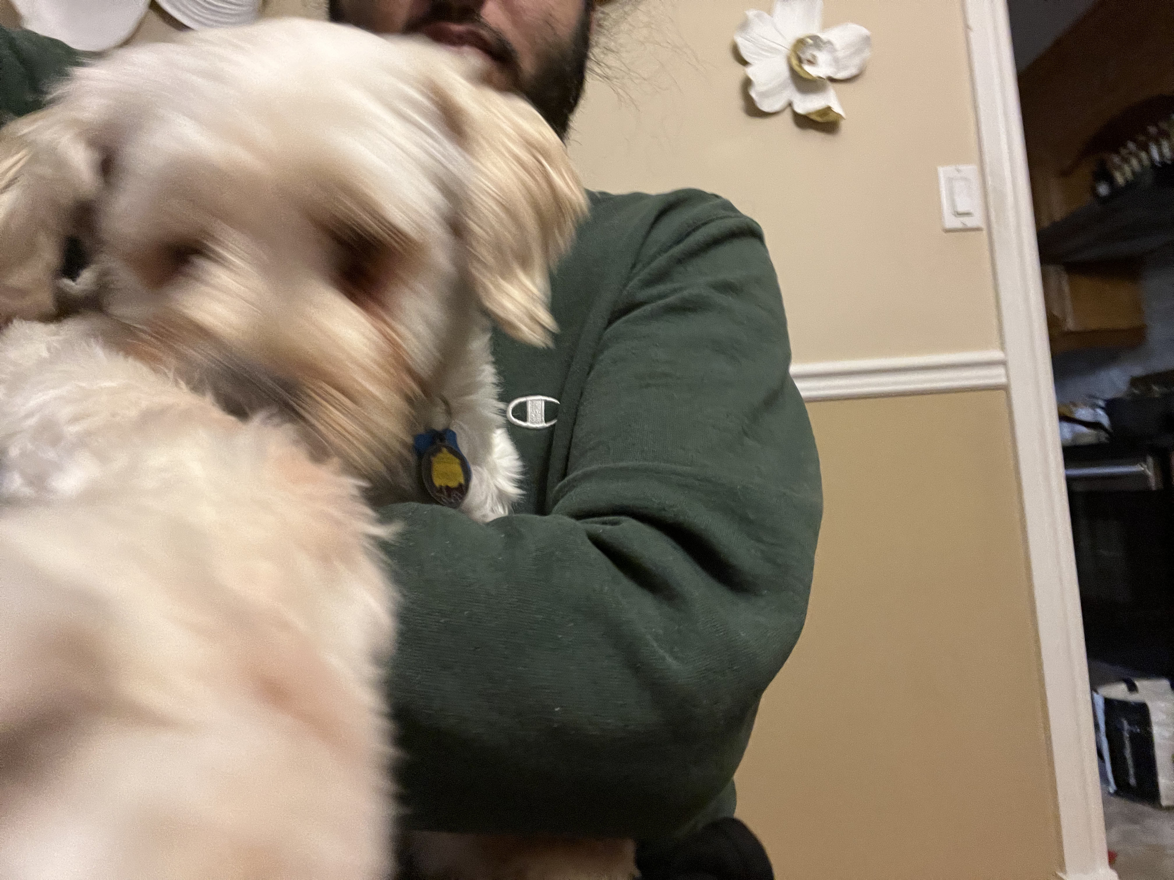 1779063322374 uf6wr0 IMG 2316