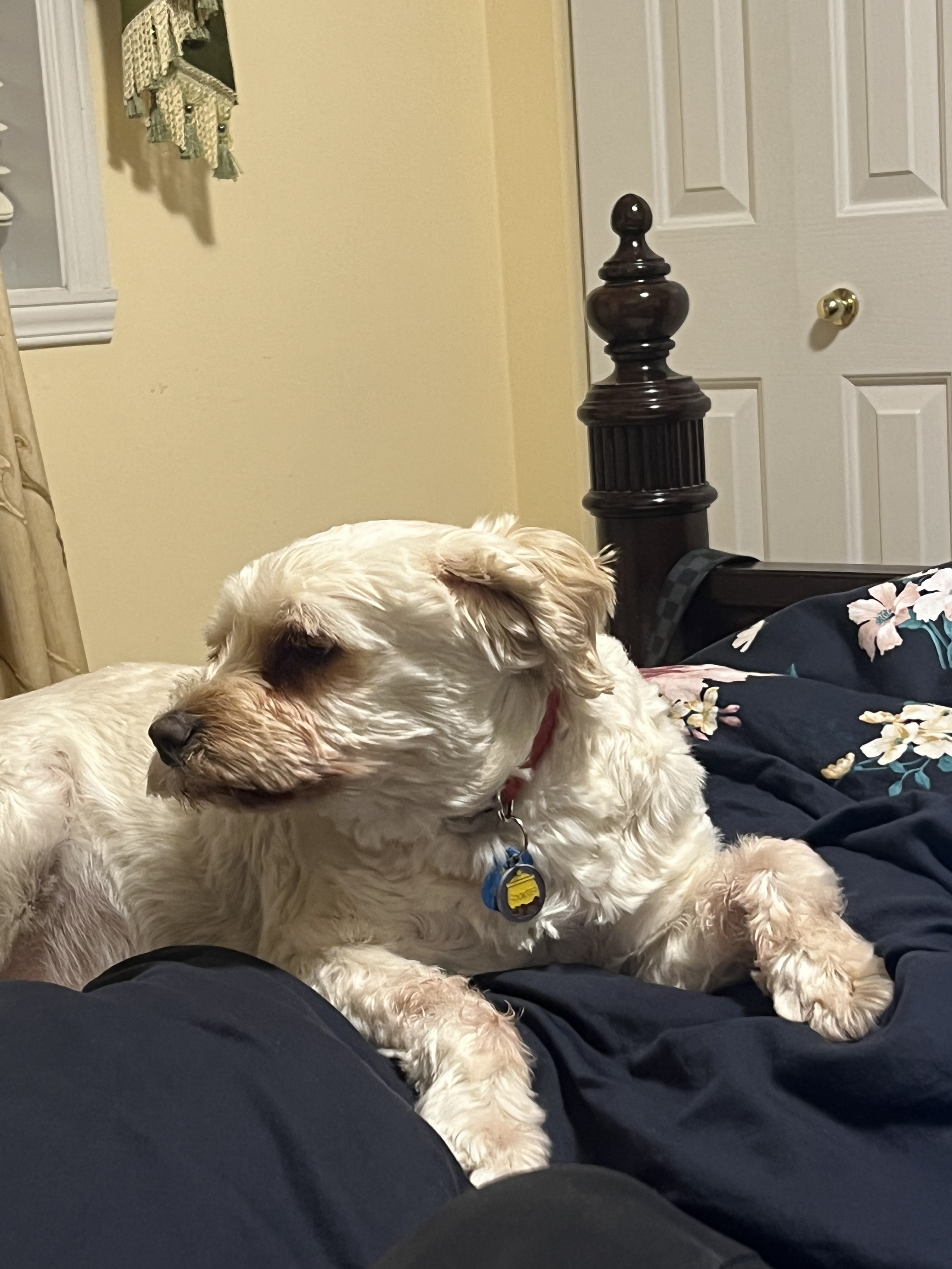 1779063324086 78y66c IMG 2251