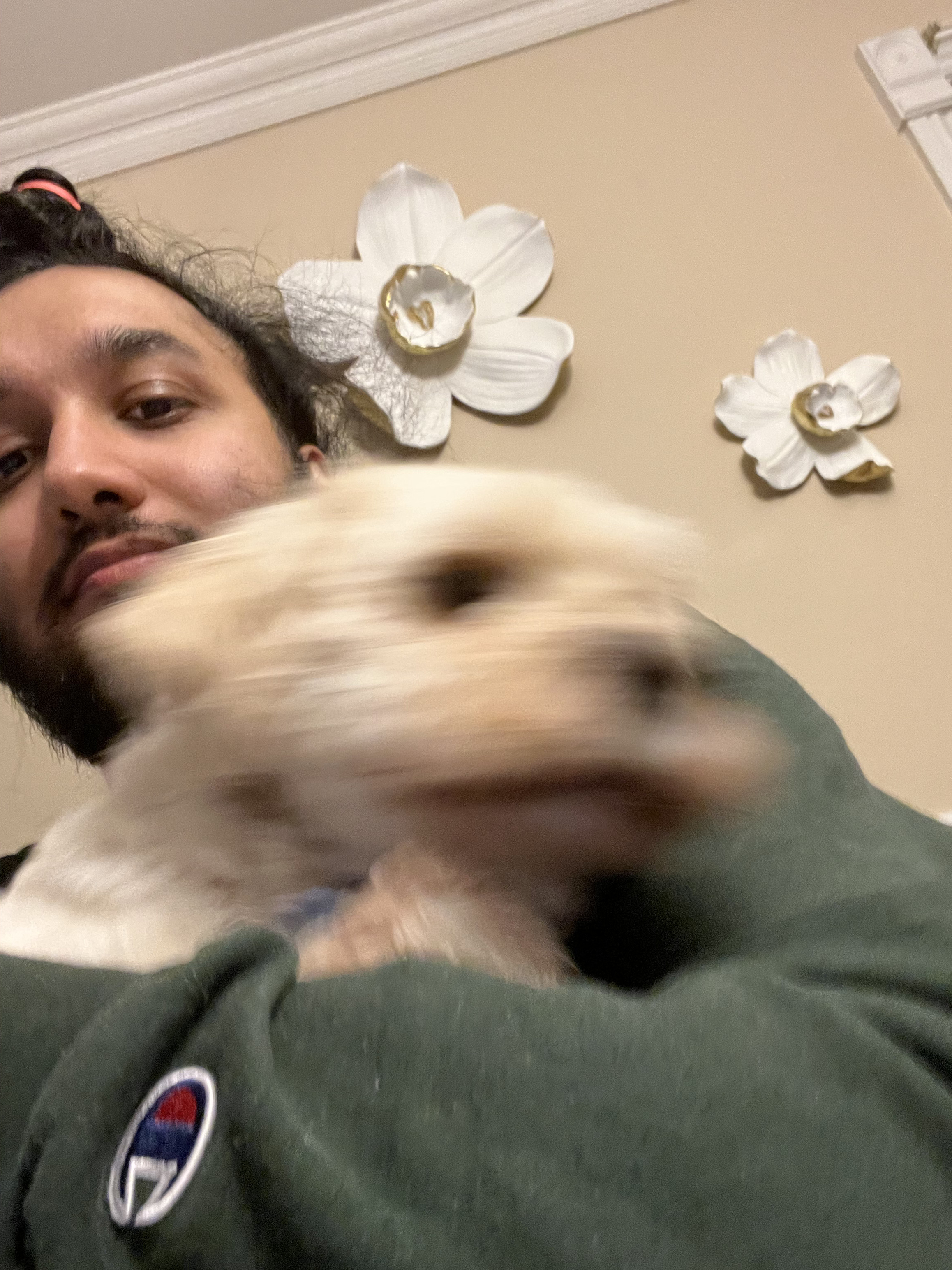 1779063326623 nbv3db IMG 2317