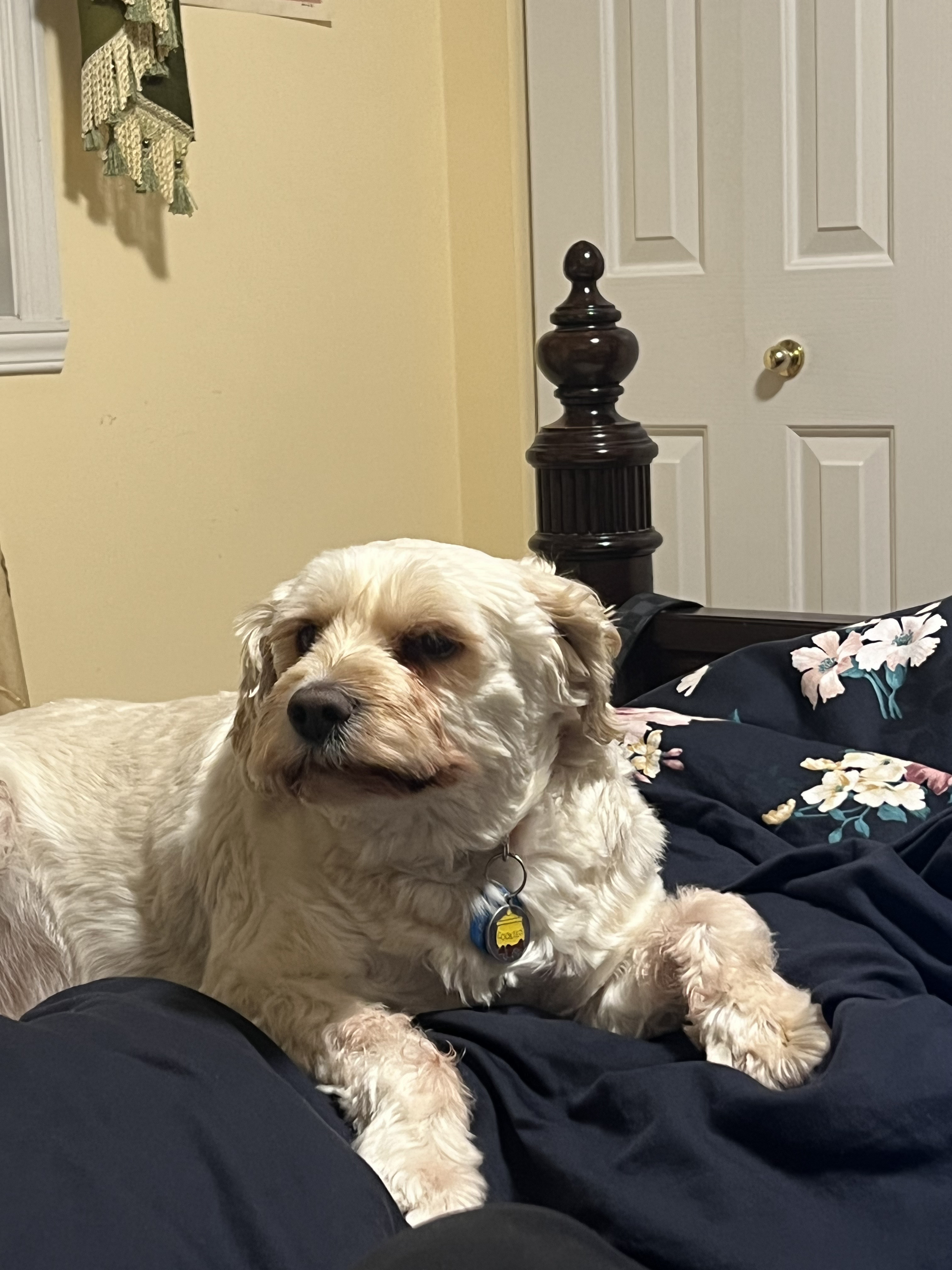 1779063327899 mw1njg IMG 2256
