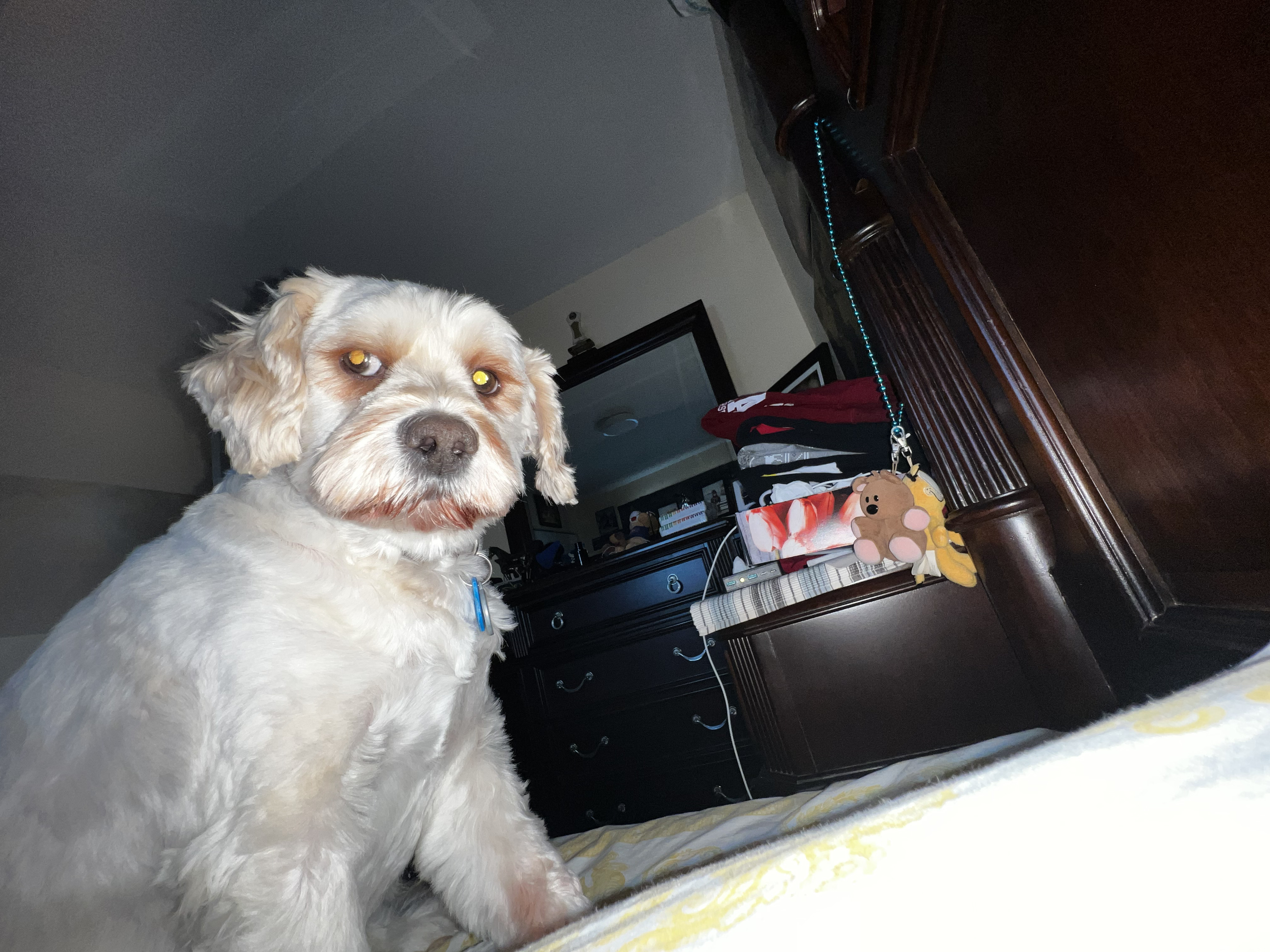 1779063381208 bm1ioe IMG 1726 1 