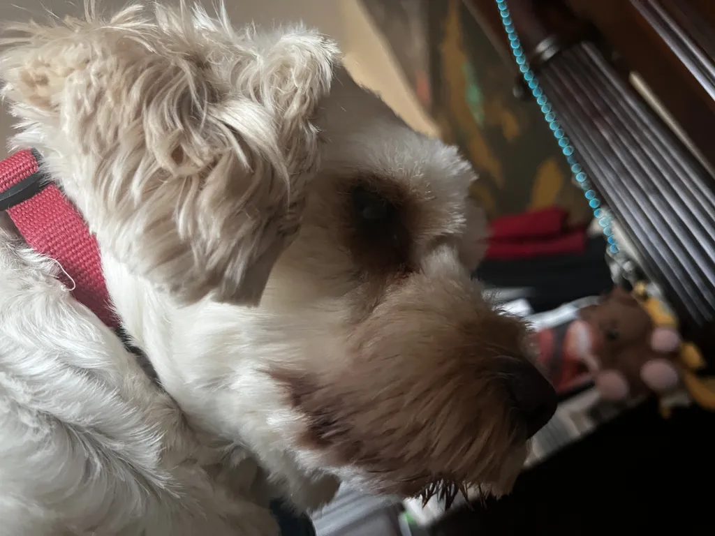 1779063384257 5izq60 IMG 1725 1 