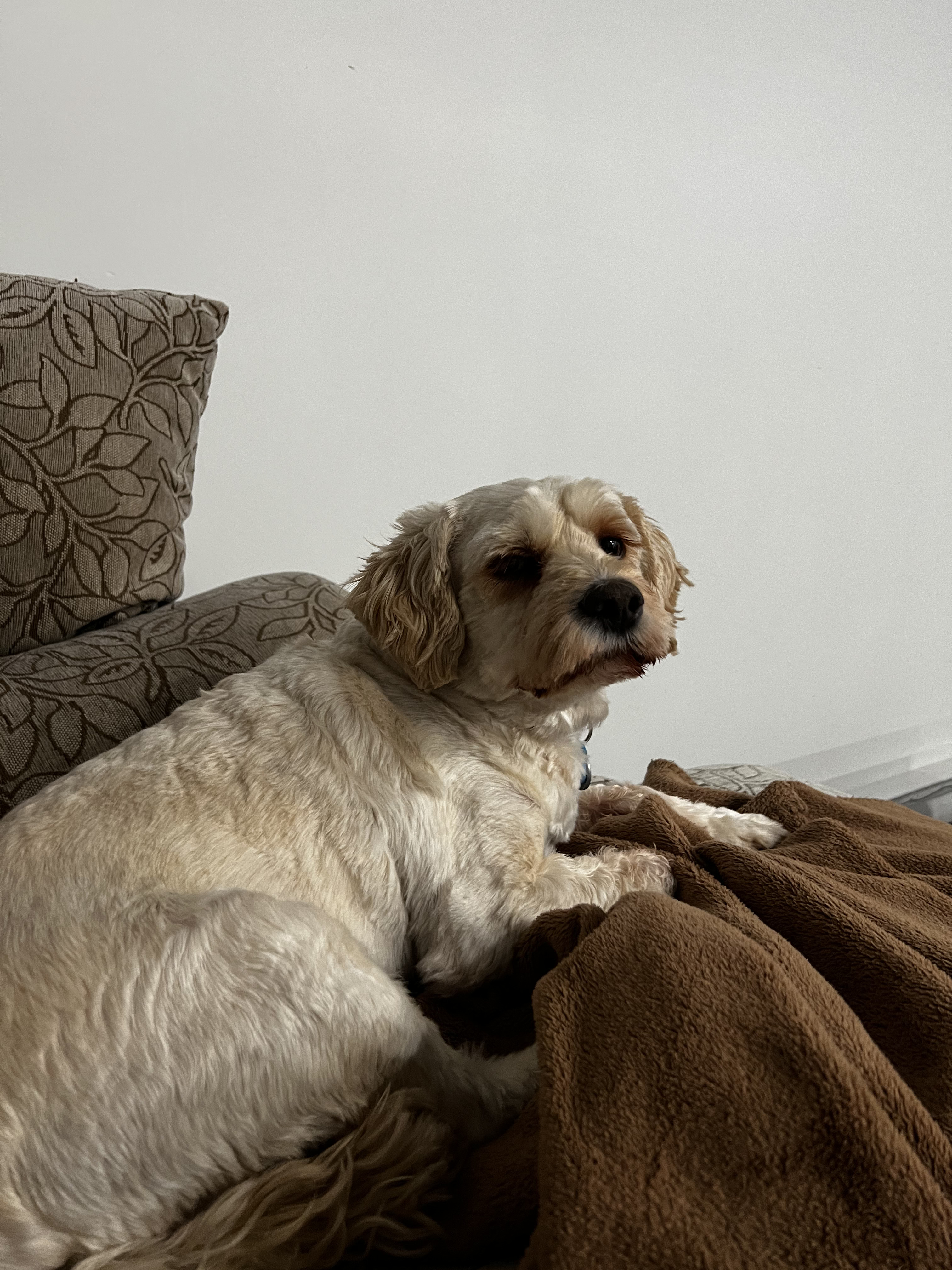 1779063400435 xv3w0k IMG 1563