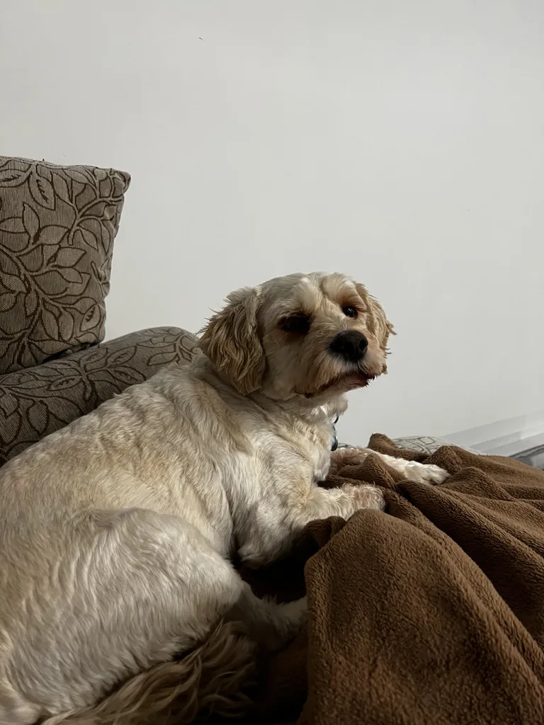 1779063400435 xv3w0k IMG 1563