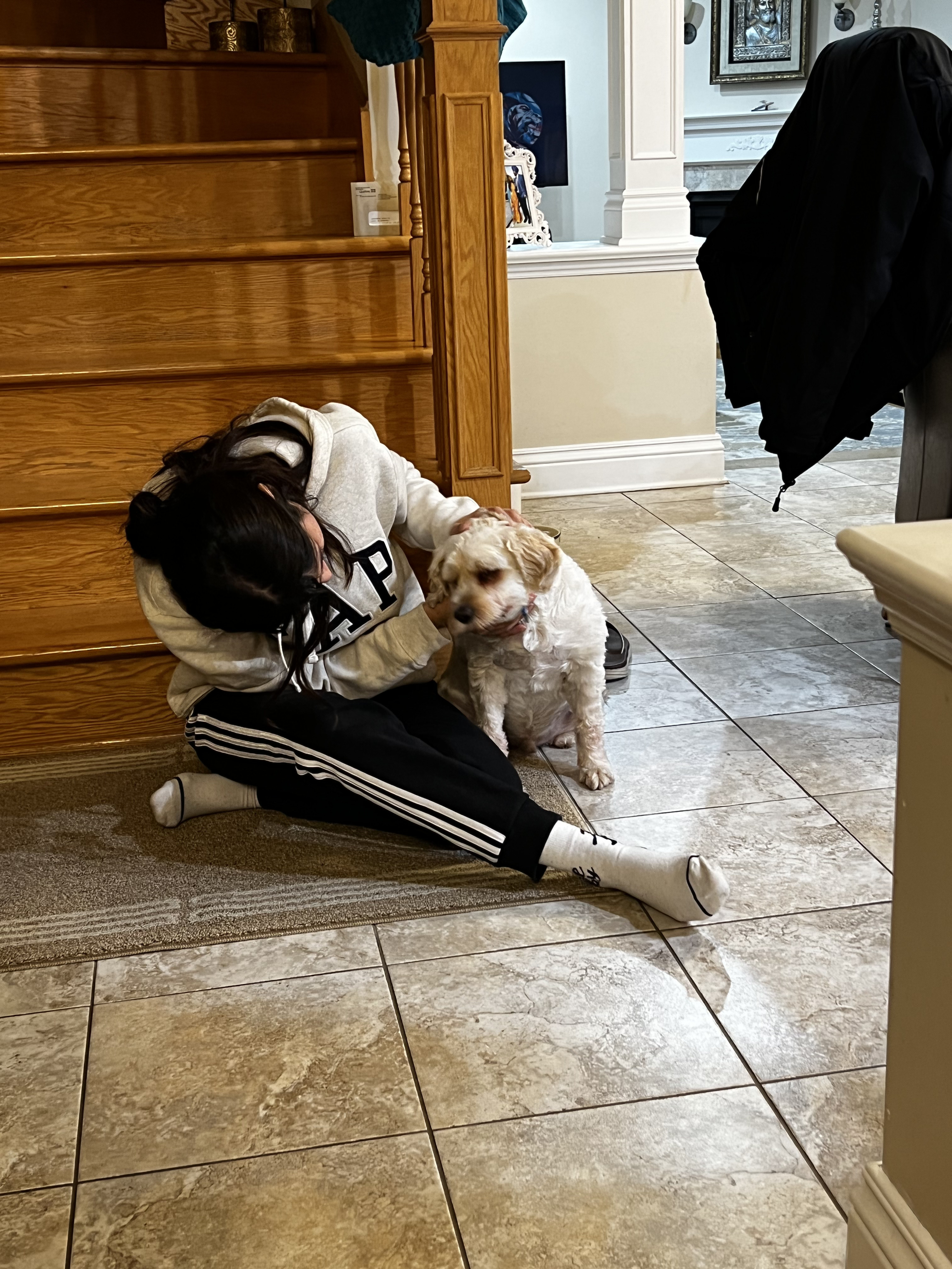 1779063405210 nzdss5 IMG 1669