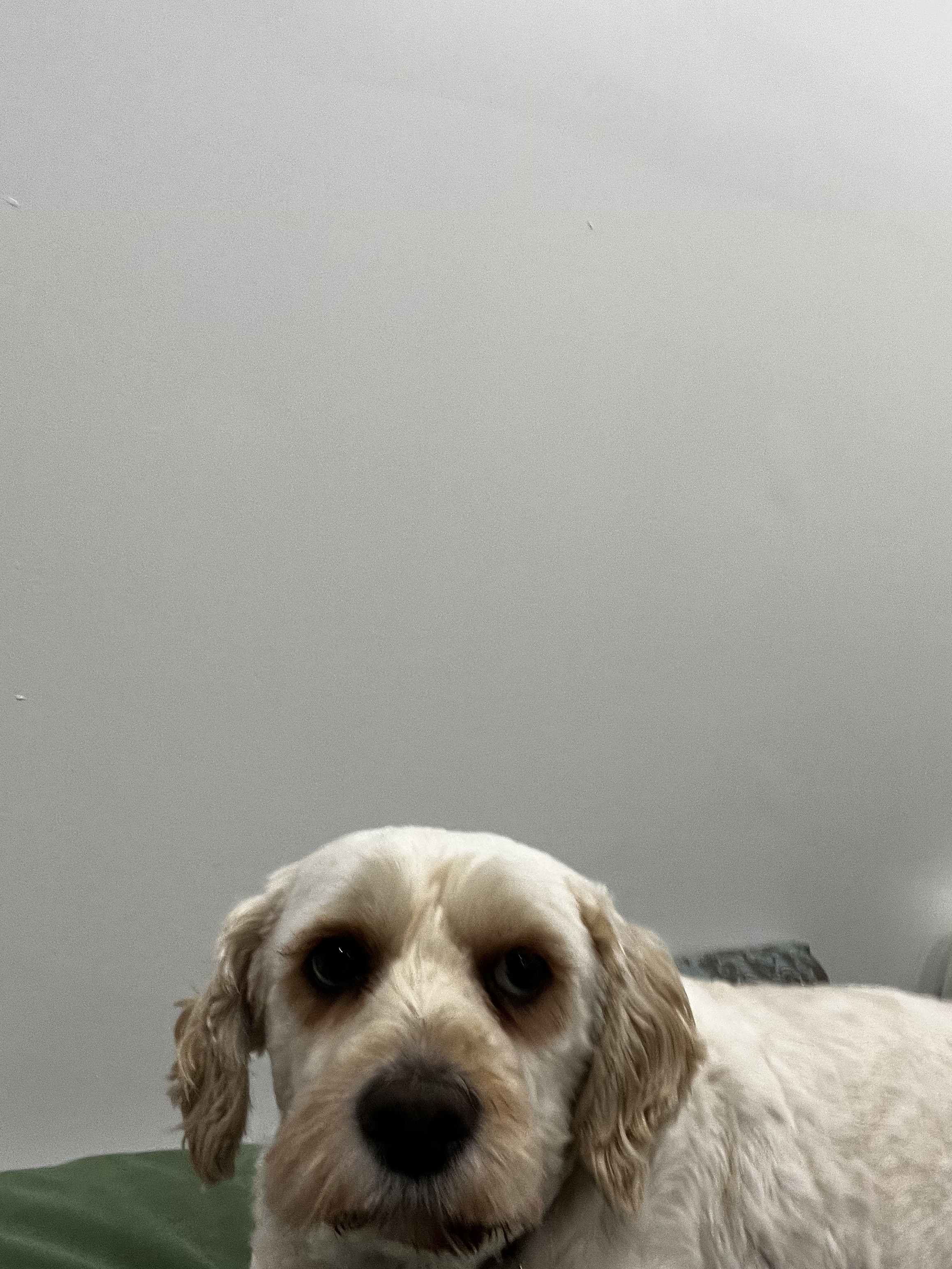1779063420807 90ua0n IMG 1411