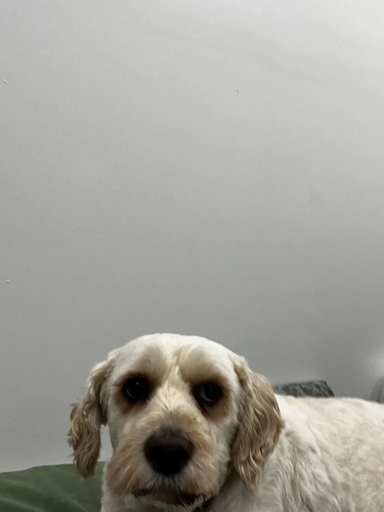 1779063420807 90ua0n IMG 1411