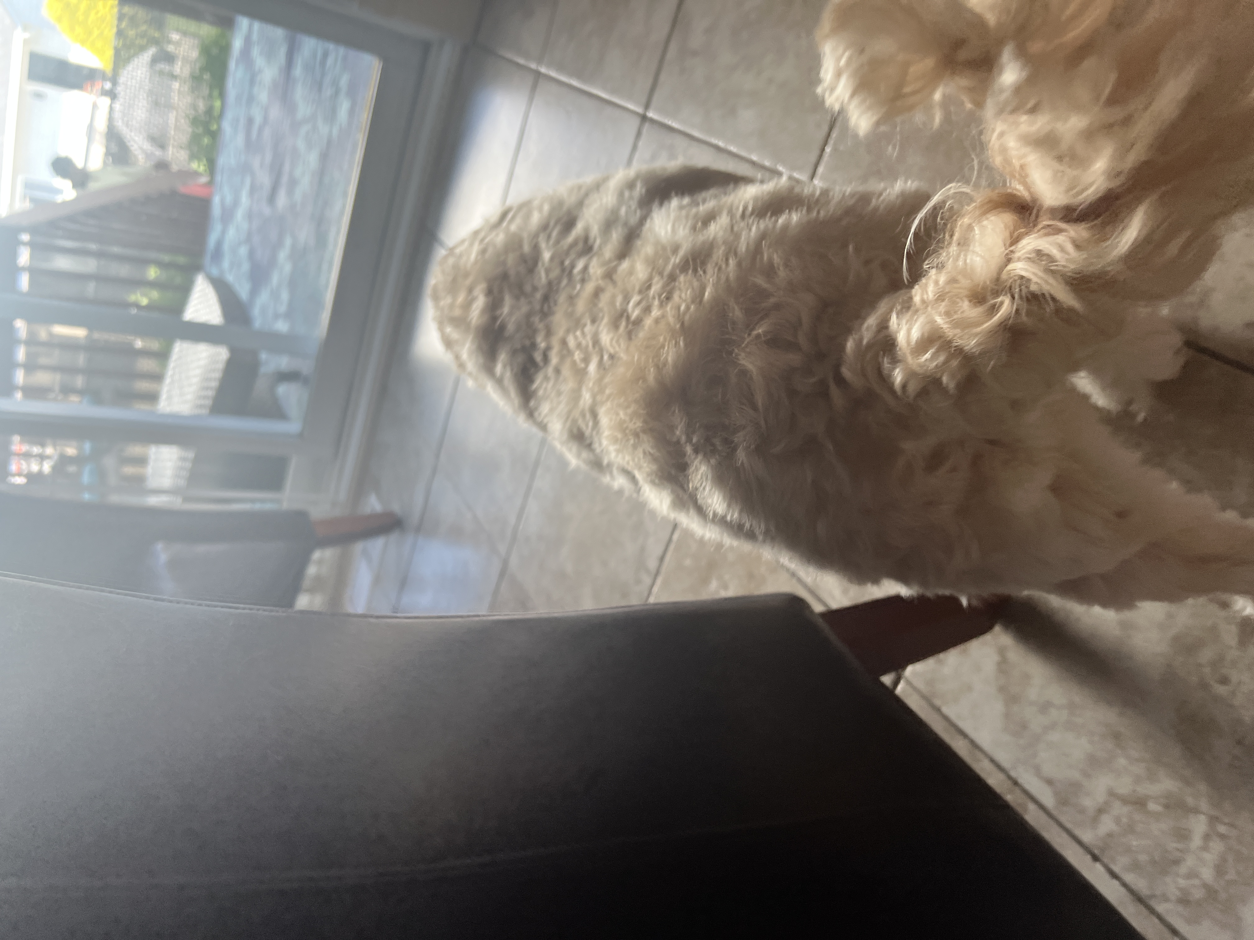 1779063447872 j70ijj IMG 9029