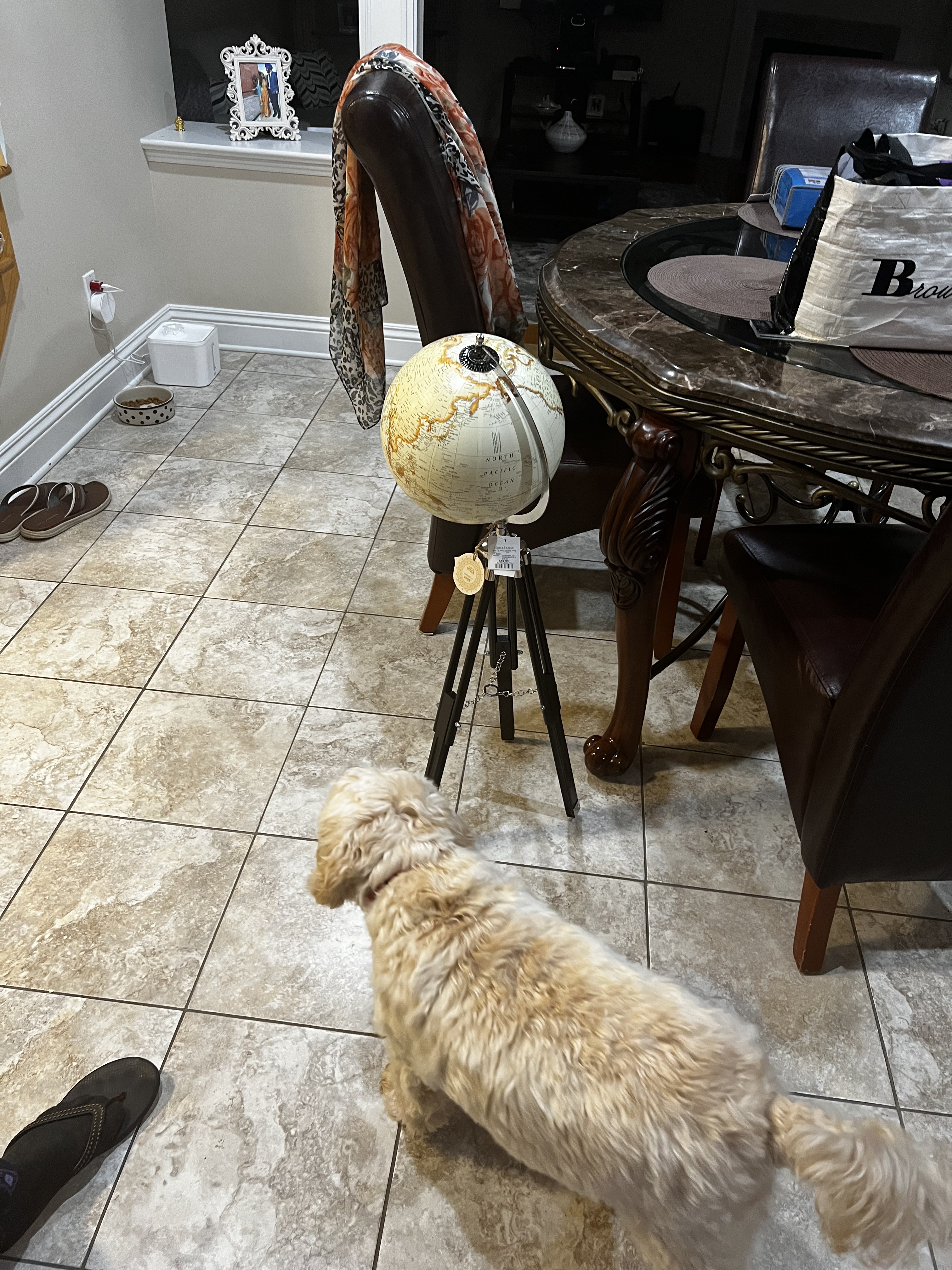 1779063451765 kpyp2m IMG 0934