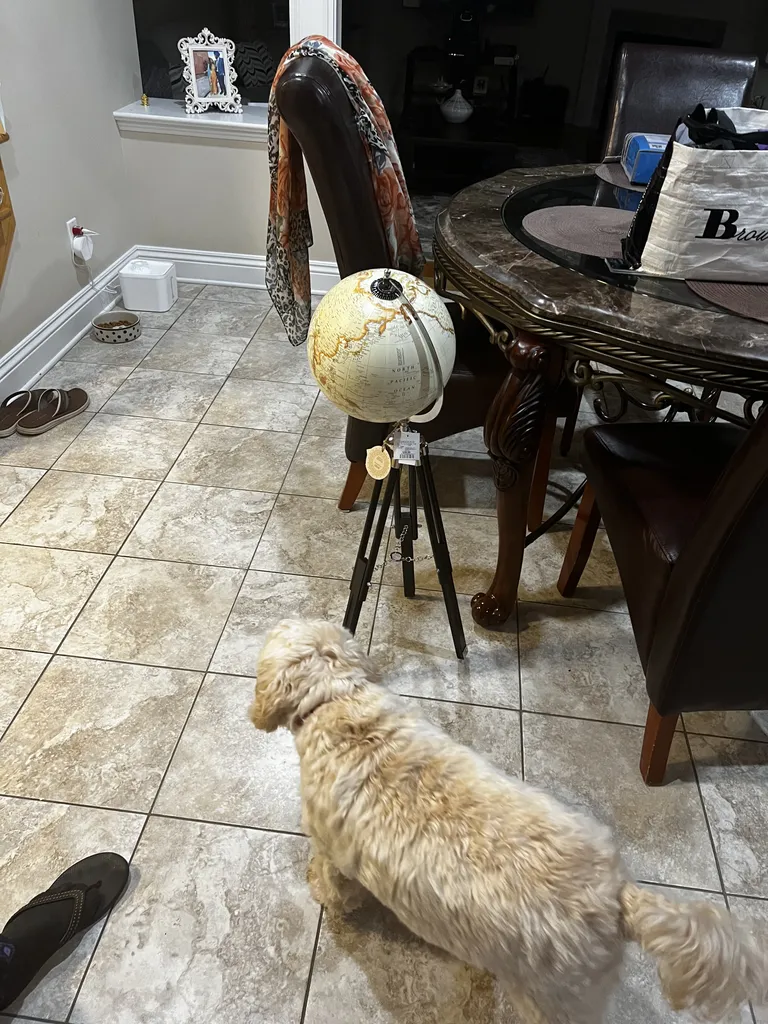 1779063451765 kpyp2m IMG 0934