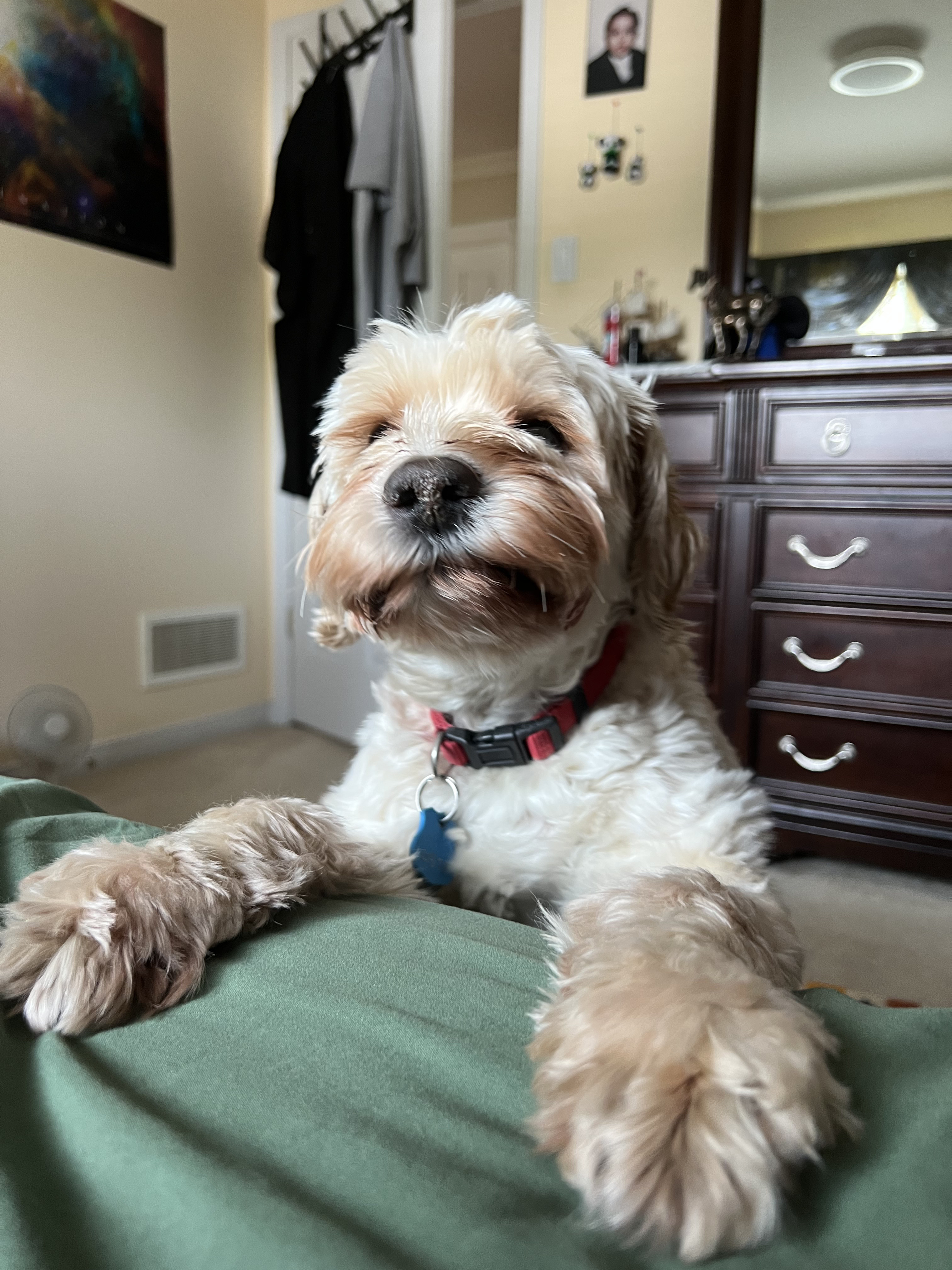 1779063458375 8uuhxn IMG 7850