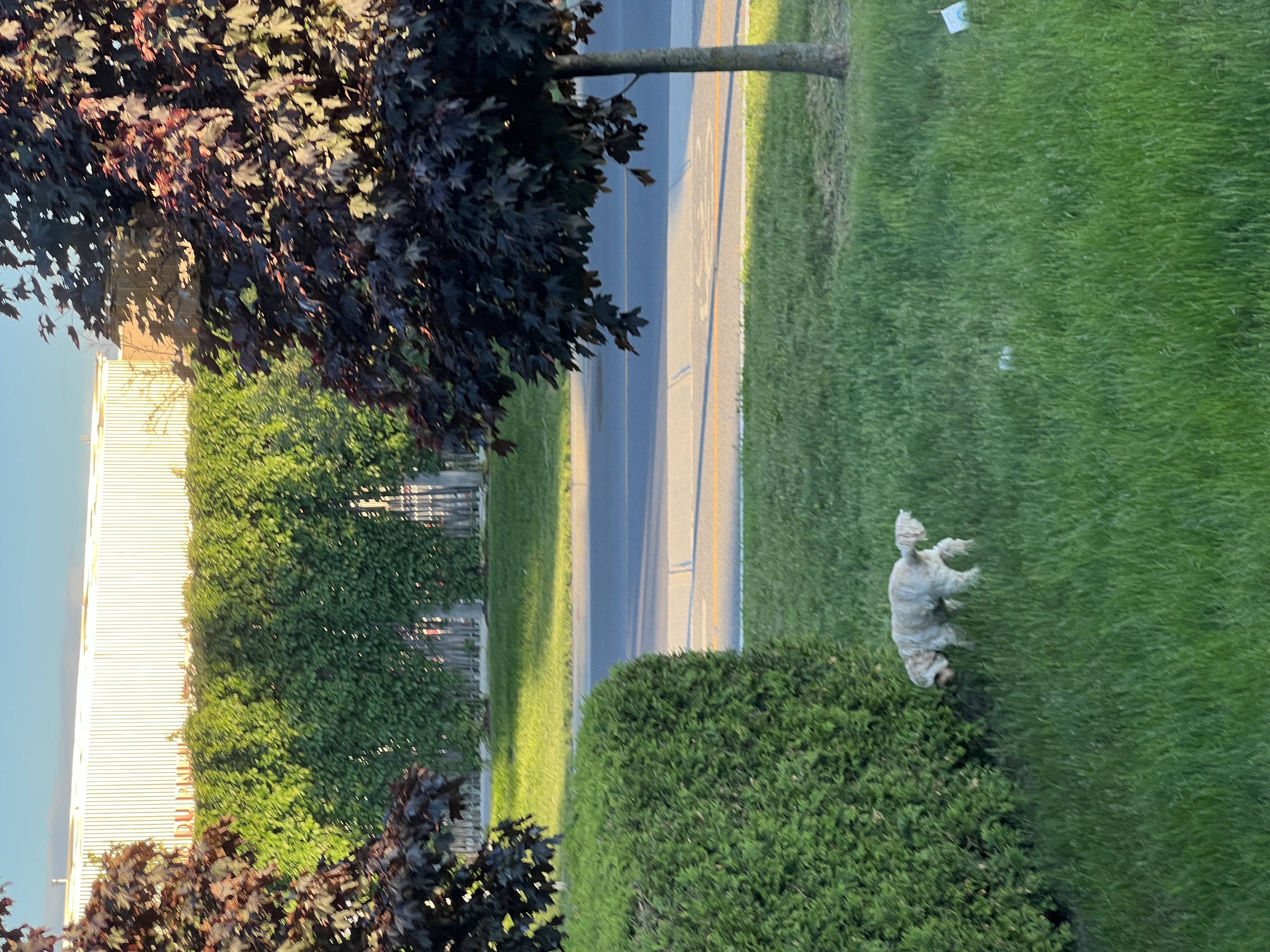 1779063458725 5xhfj2 IMG 8489