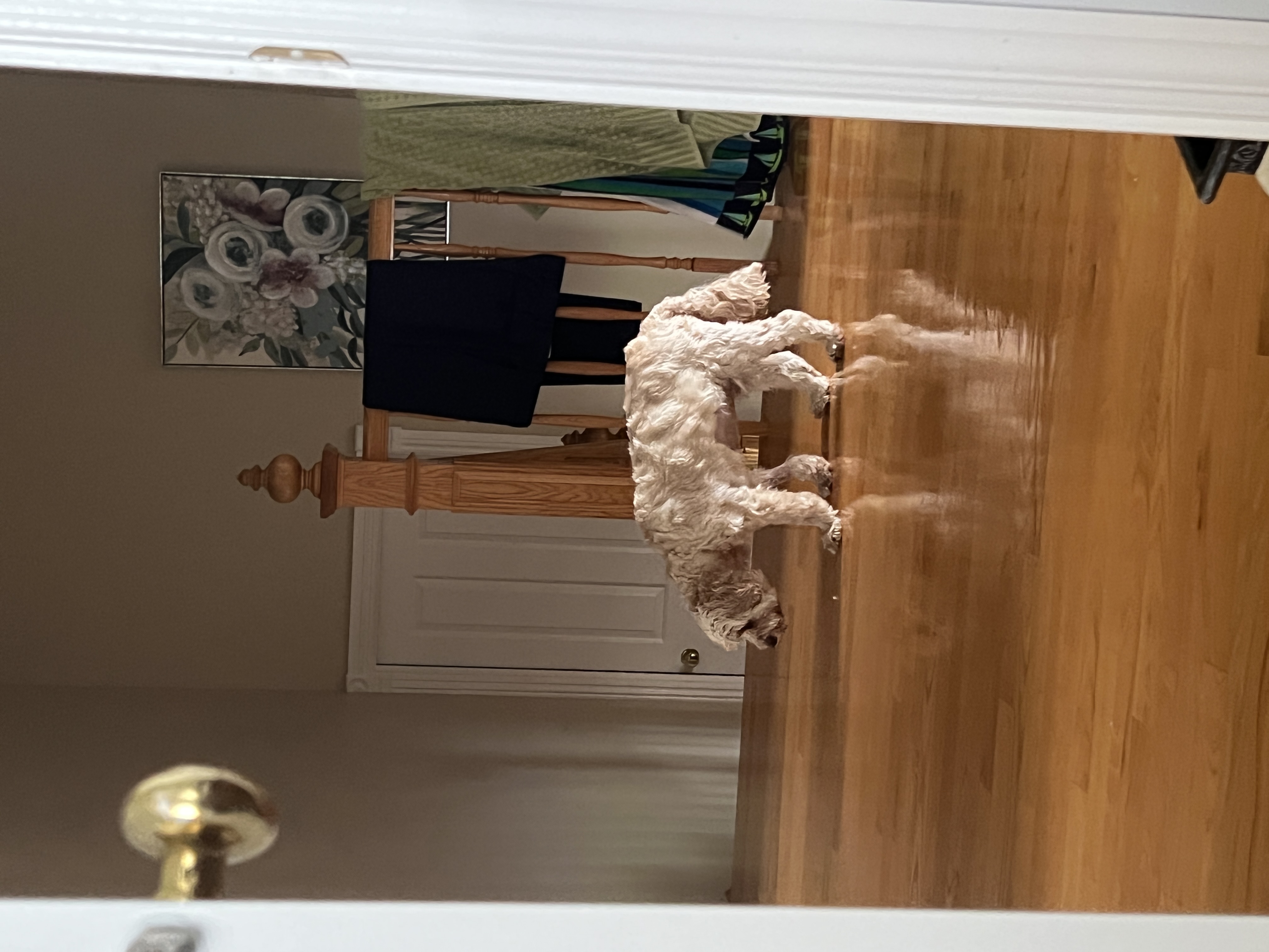 1779063458767 lm4ewx IMG 8158