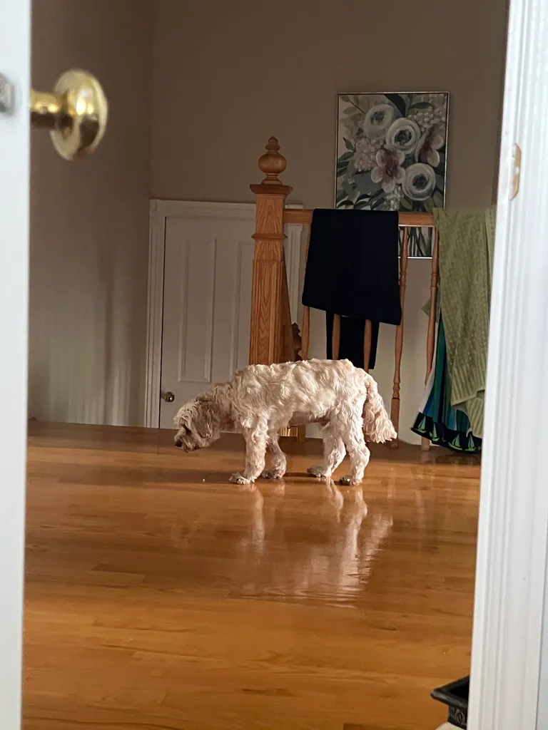 1779063458767 lm4ewx IMG 8158