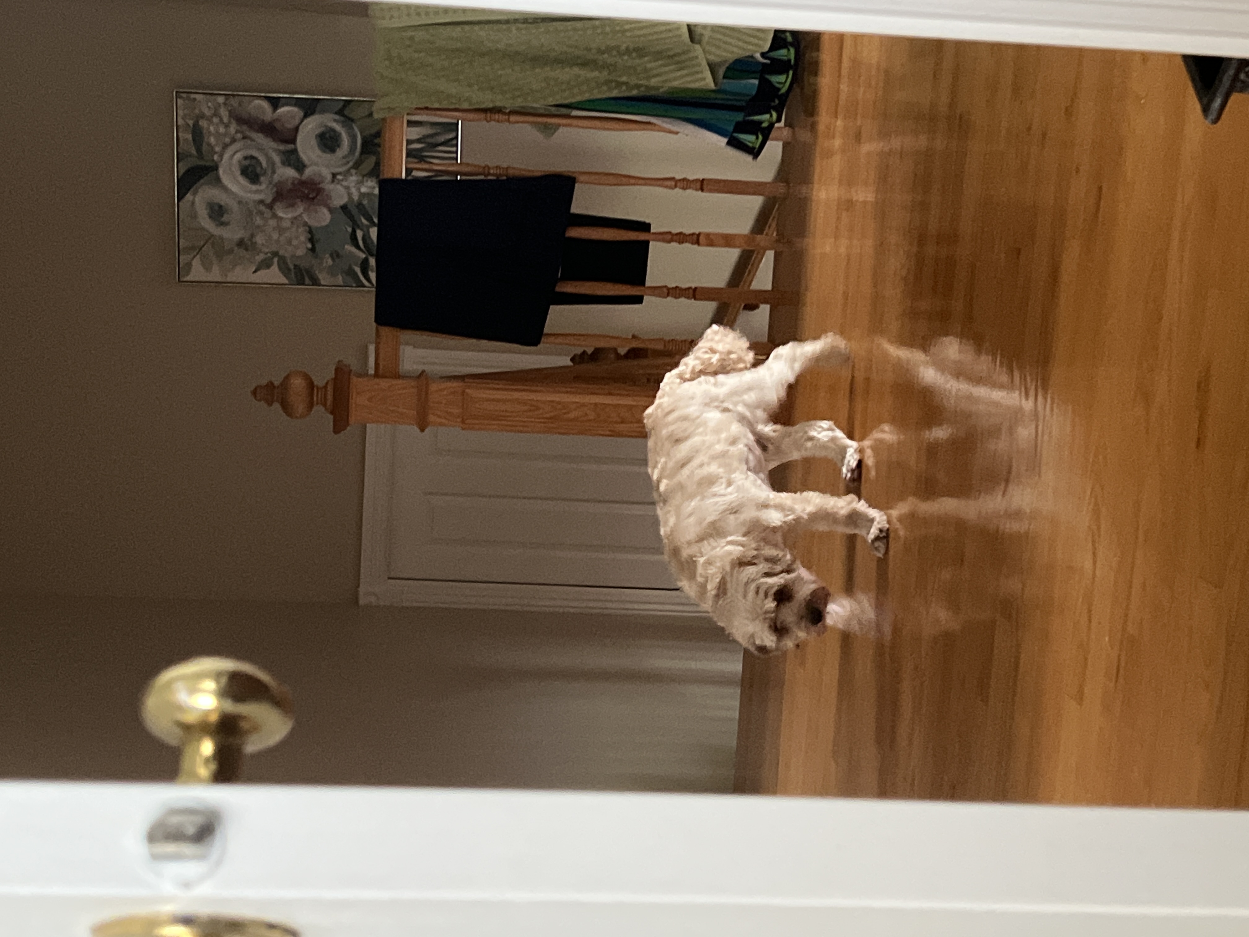 1779063461560 w9t9mk IMG 8160