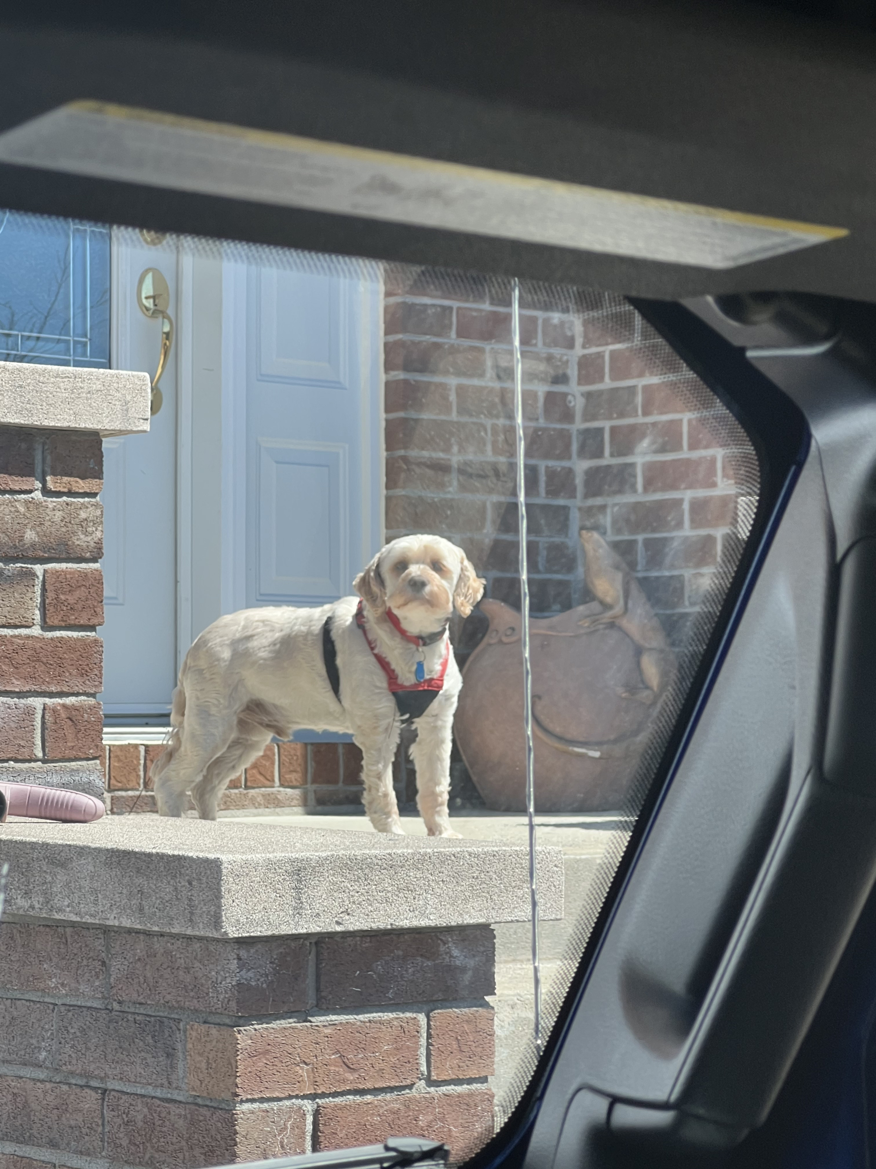1779063496044 05x4hf IMG 6496