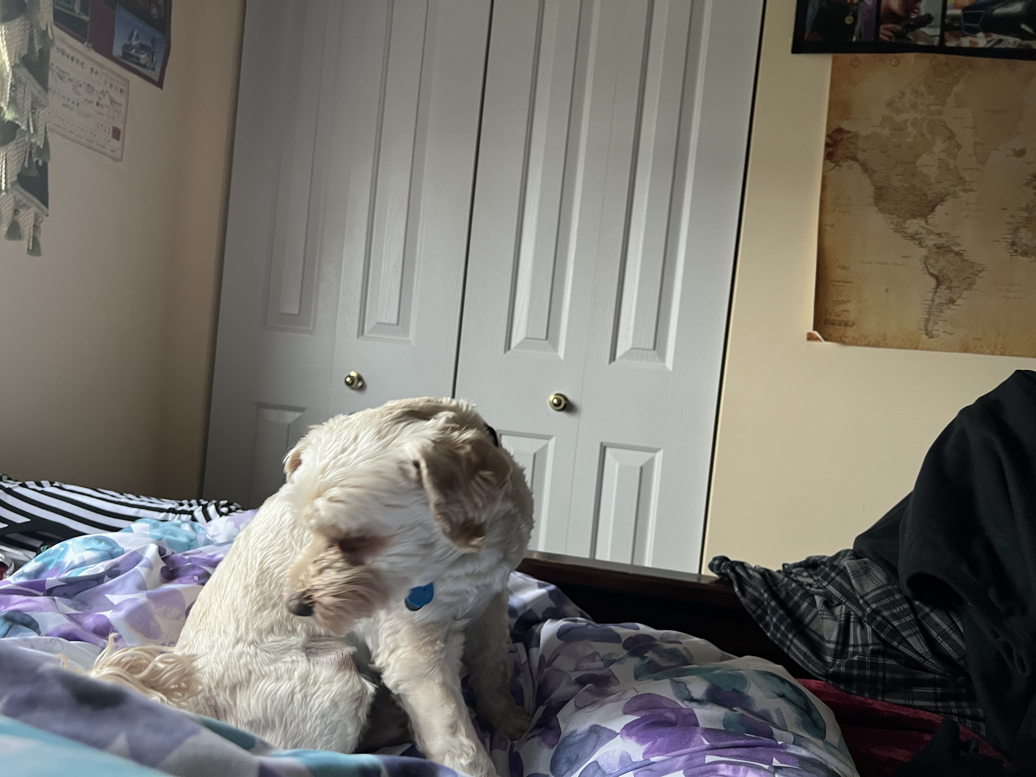 1779063500266 qkdgdx IMG 6910