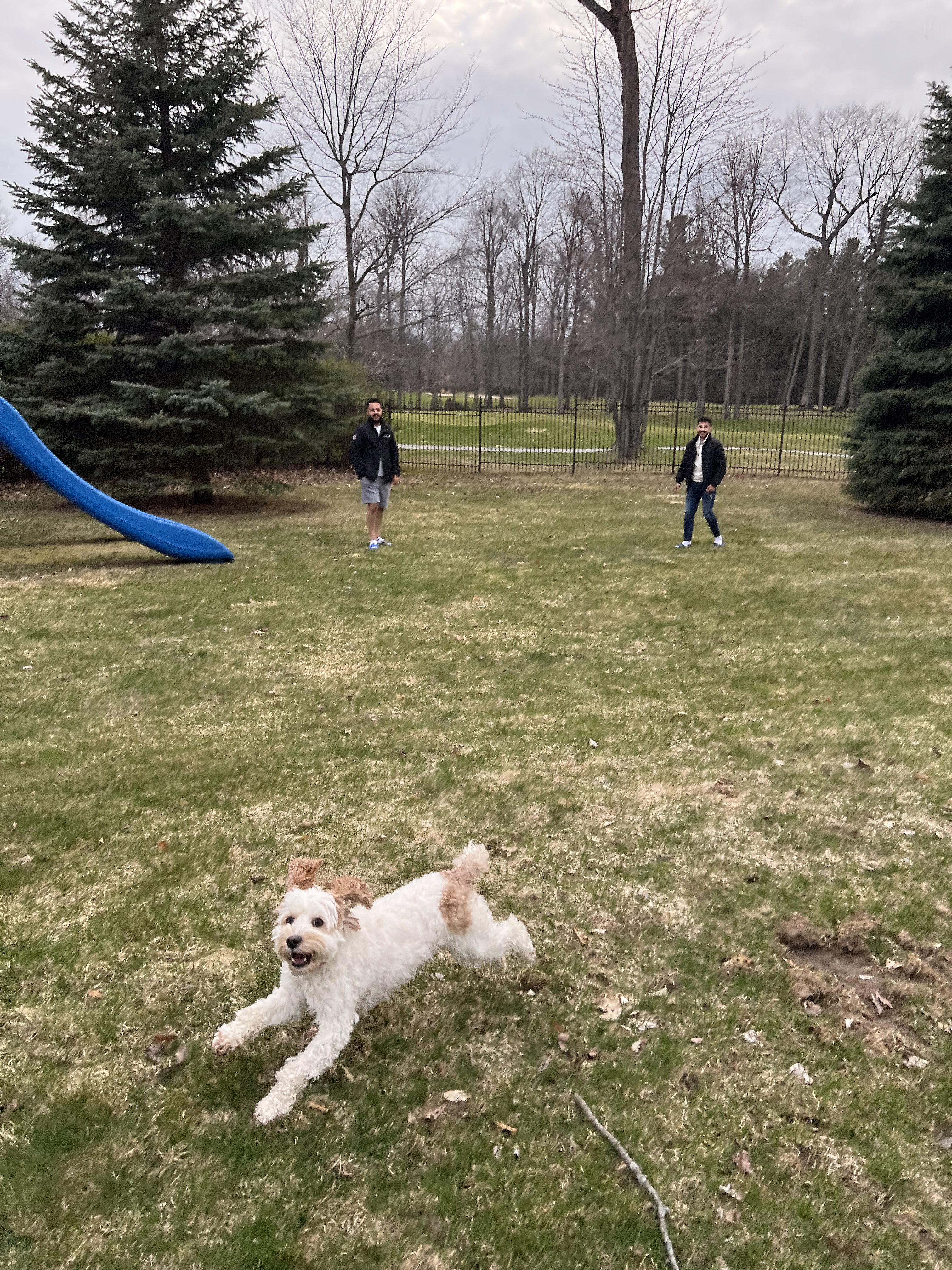 1779063518860 c66rcu IMG 7032