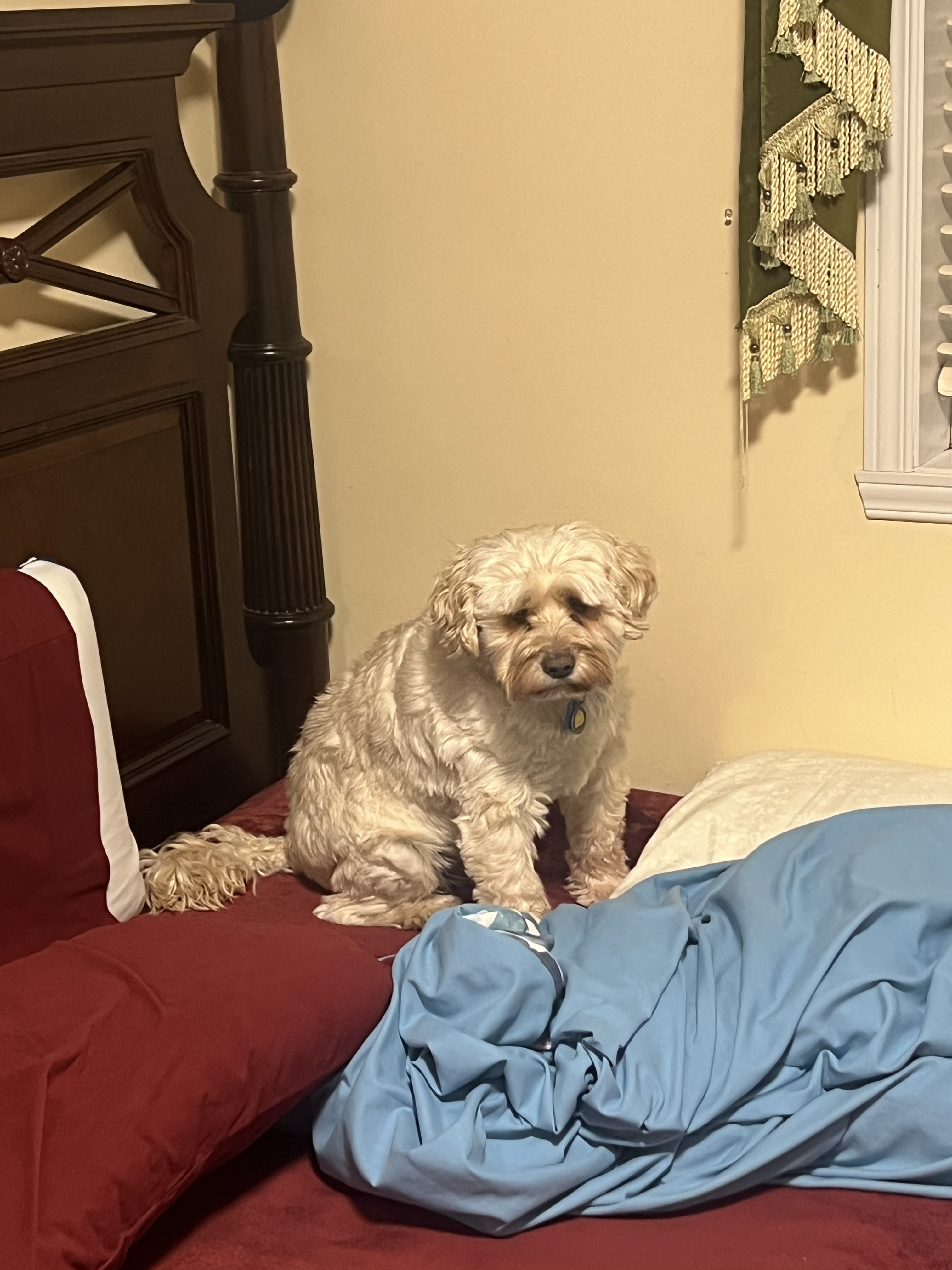 1779063530674 mgycby IMG 5048