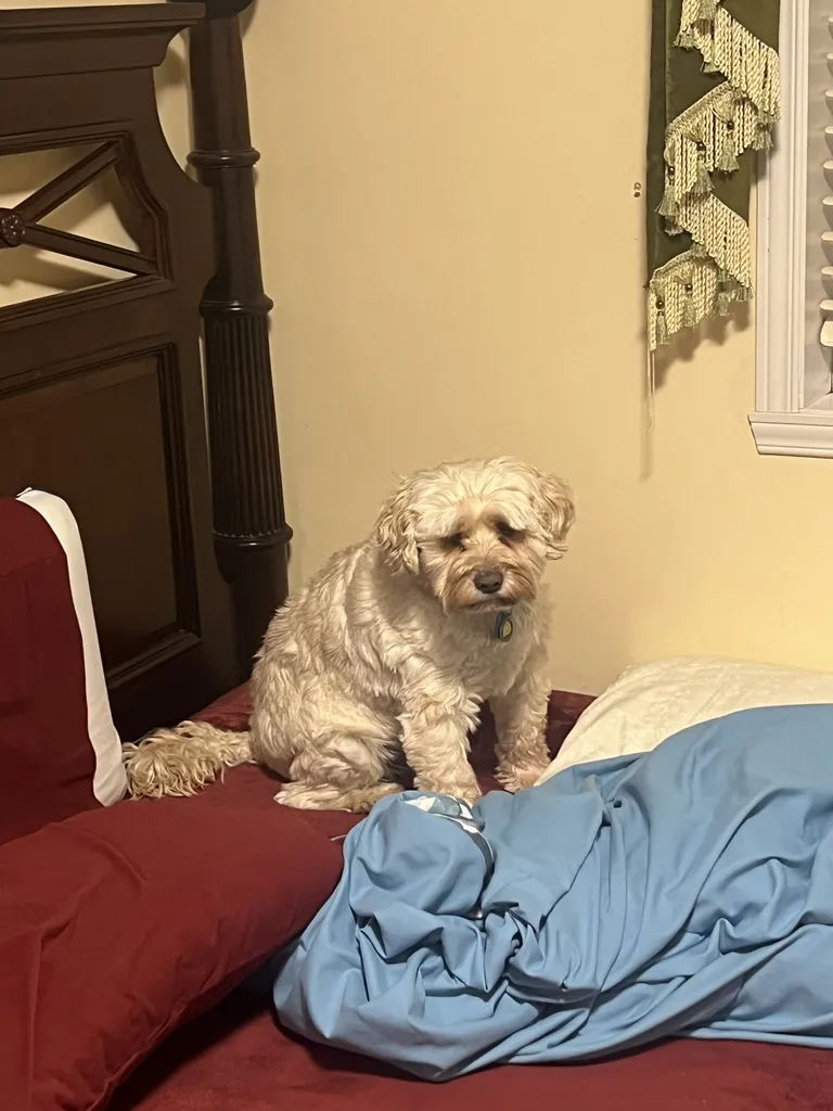 1779063530674 mgycby IMG 5048