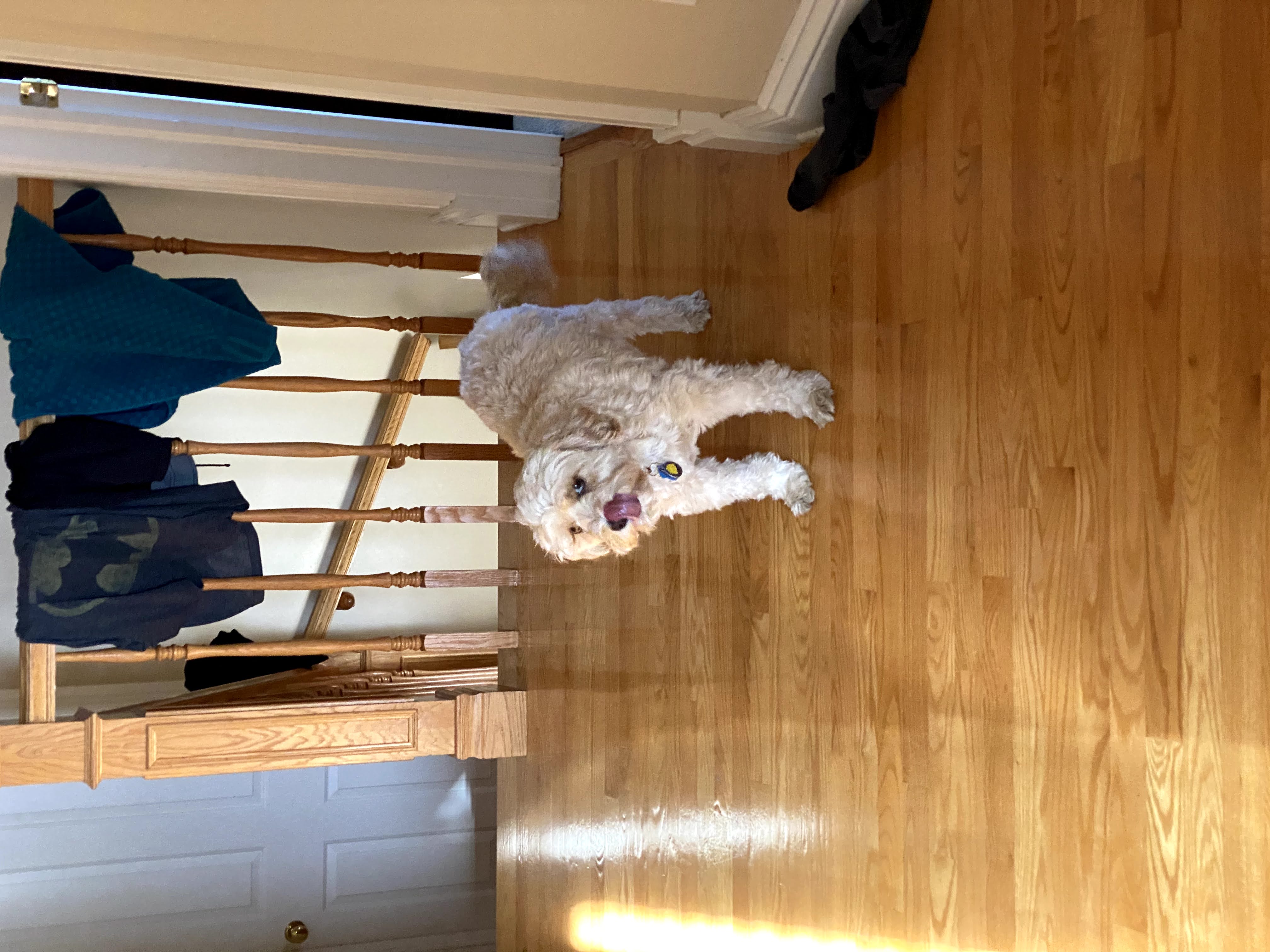 1779063554325 pjis8w IMG 6452