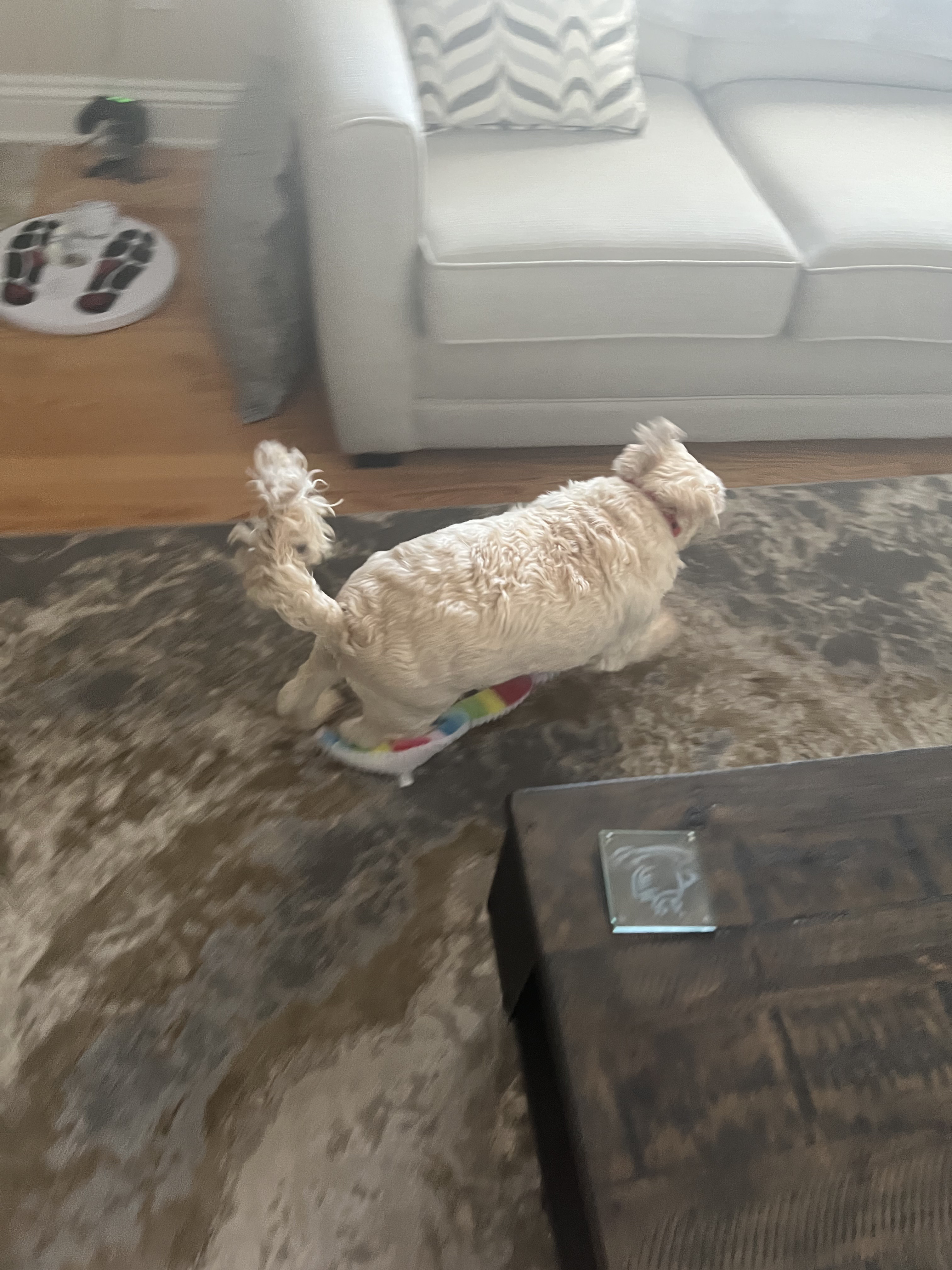 1779063556376 d1be7w IMG 3748