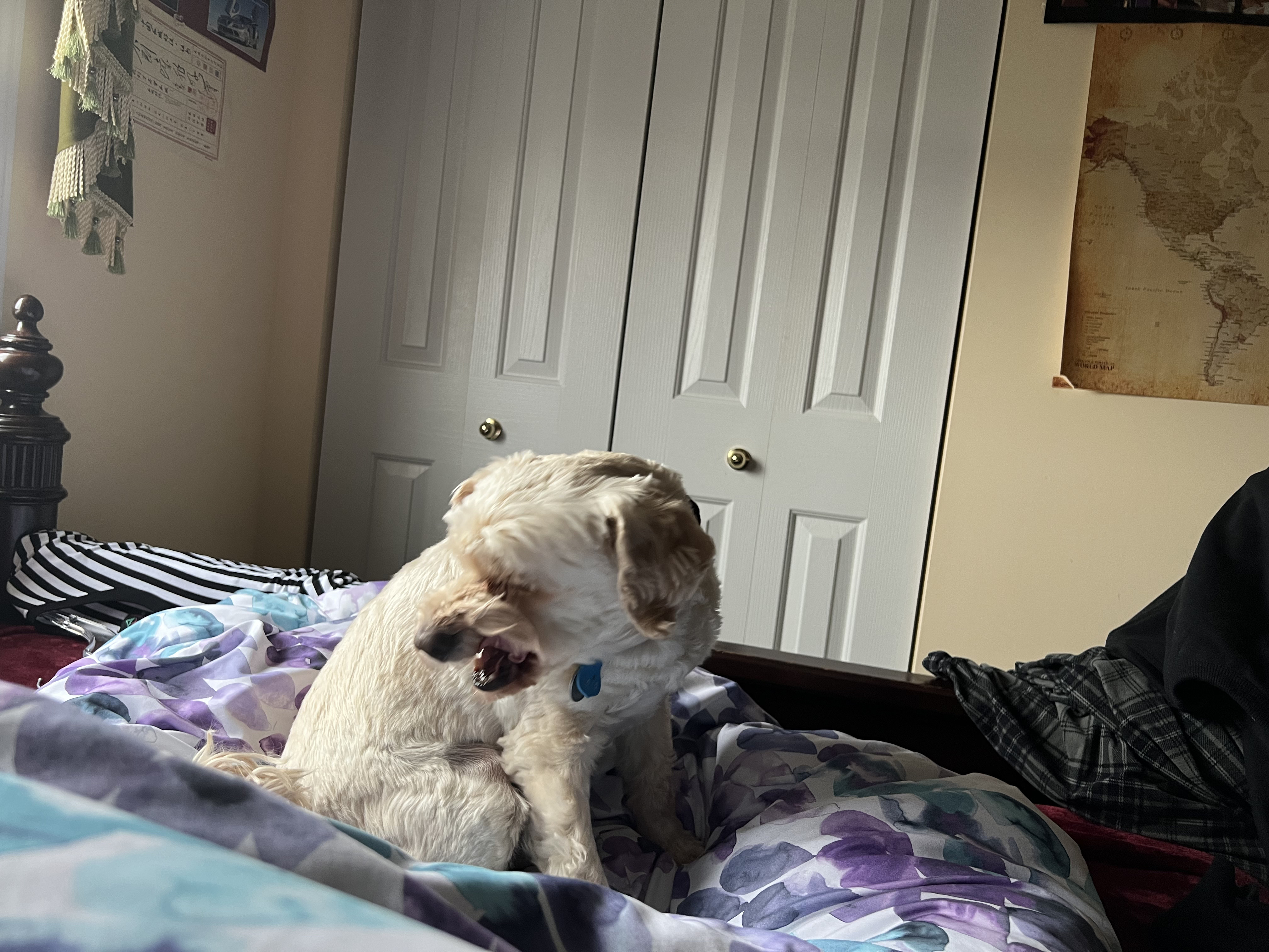 1779063570944 tosyry IMG 6911