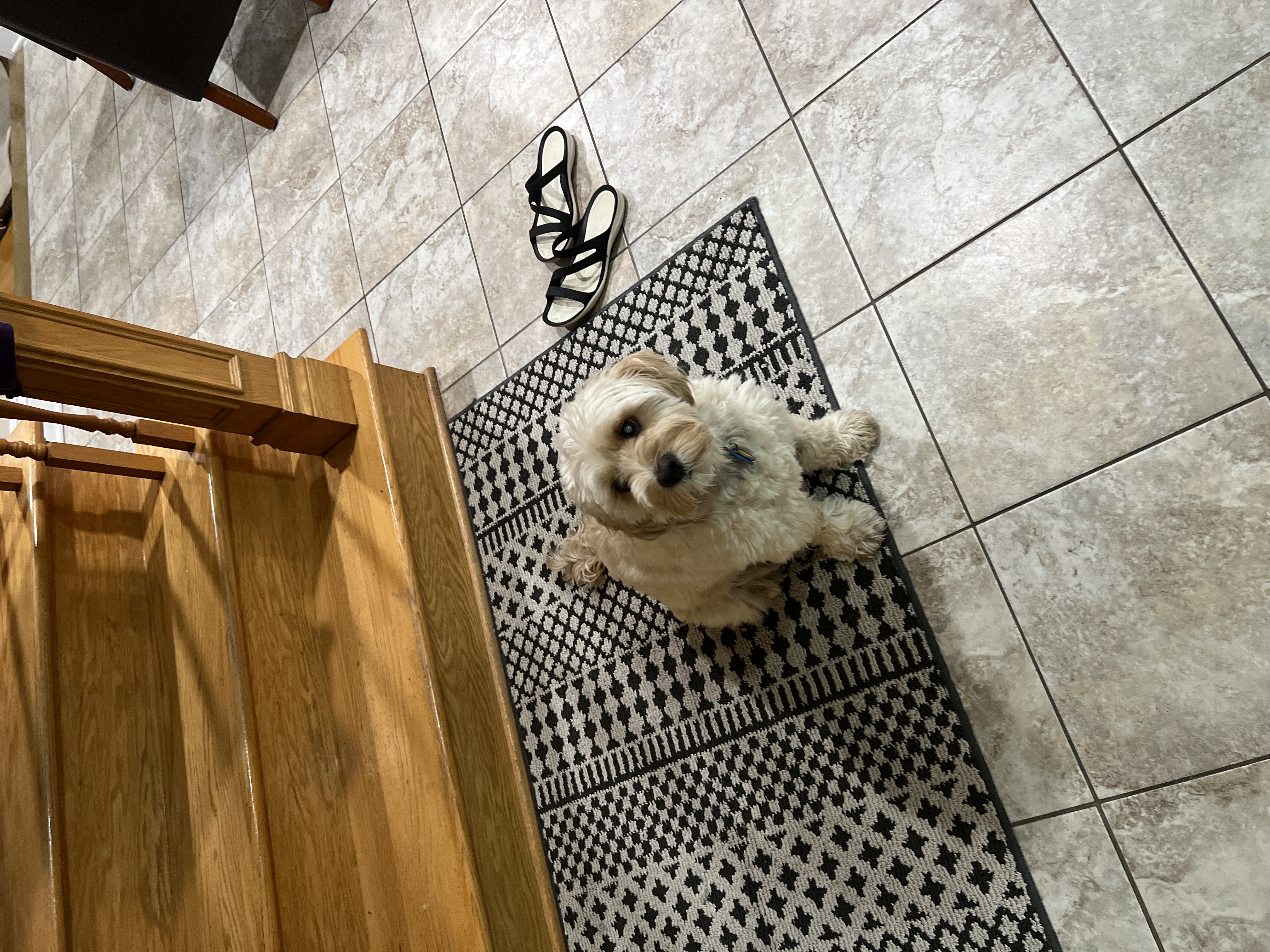 1779063588957 r072ib IMG 6886