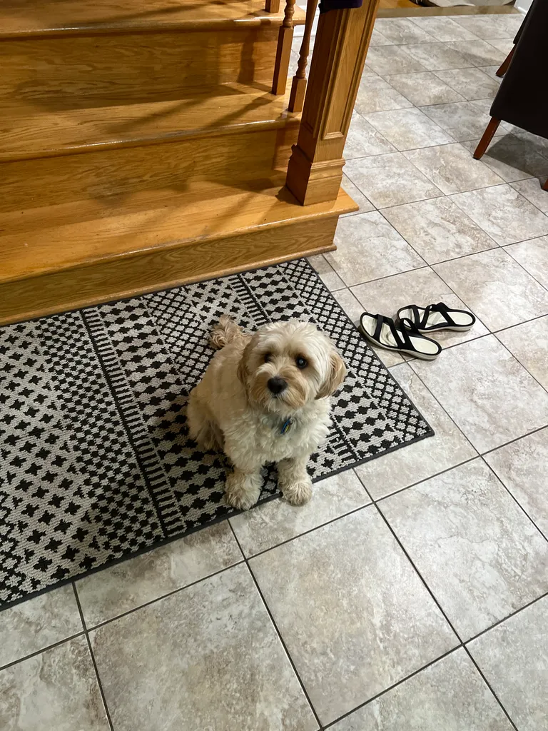 1779063588957 r072ib IMG 6886