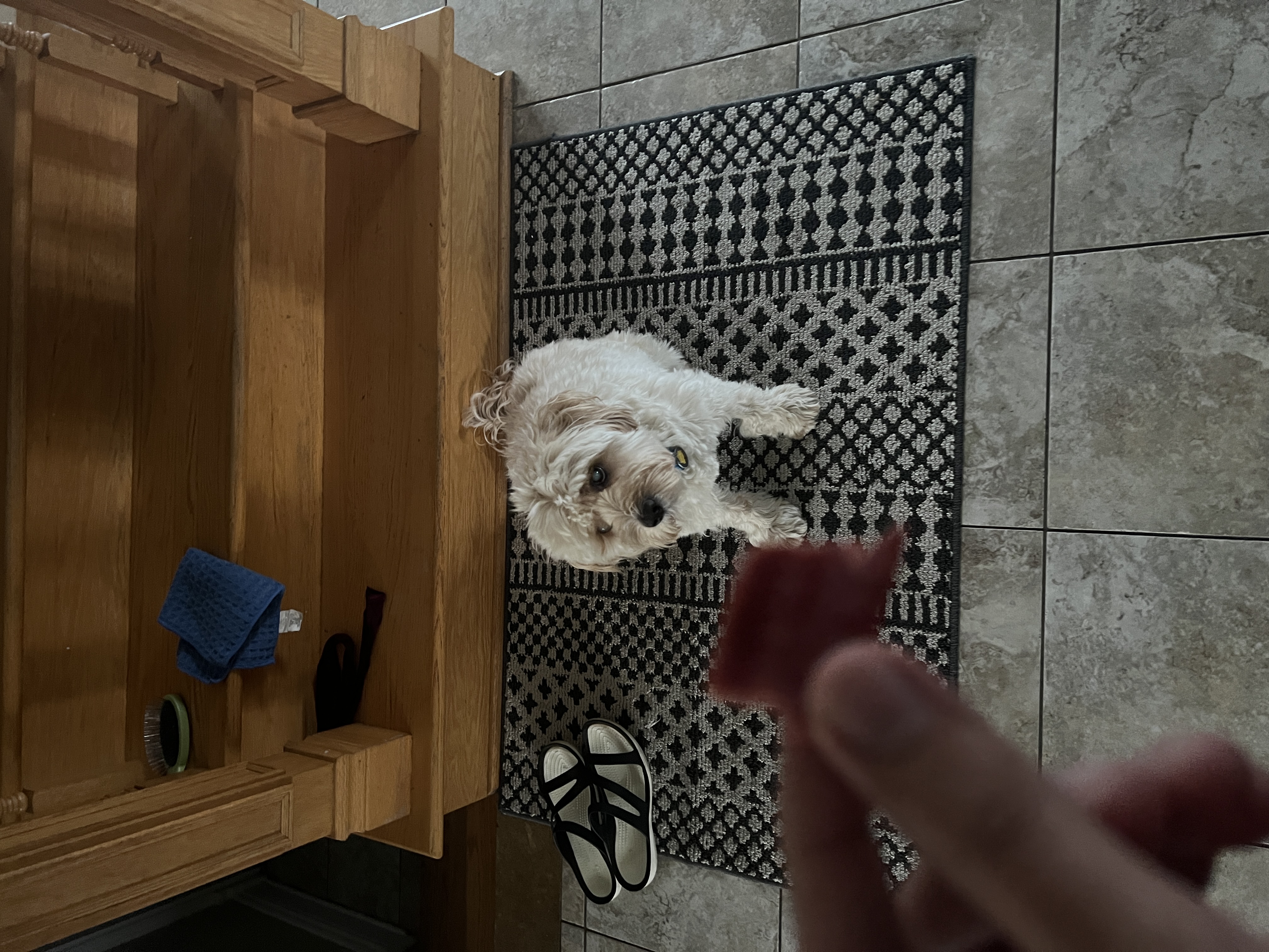 1779063599556 ukwpdk IMG 6818