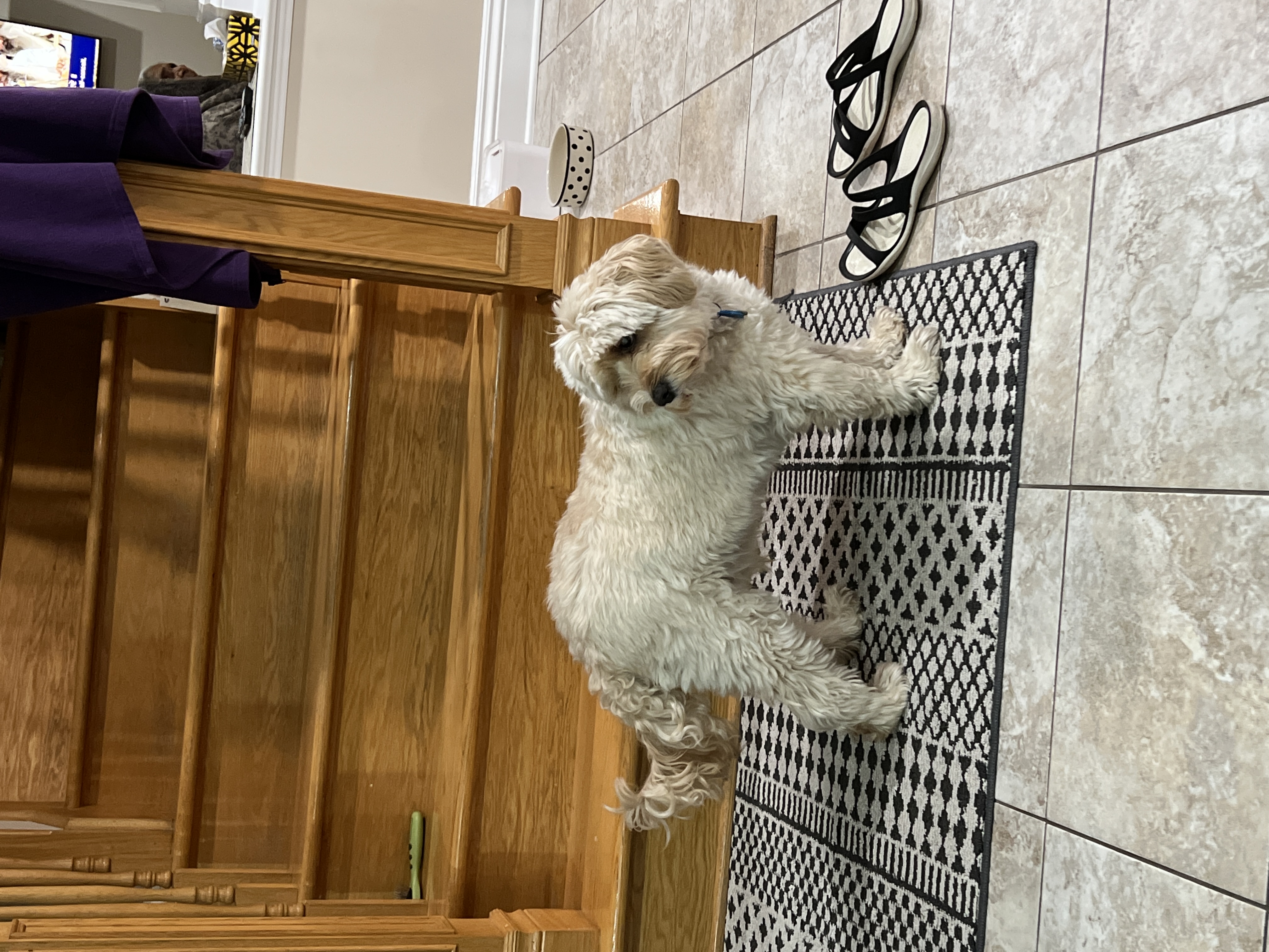 1779063602465 cy60kc IMG 6875