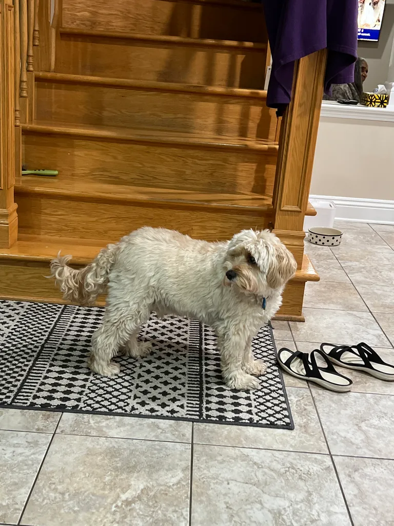 1779063602465 cy60kc IMG 6875