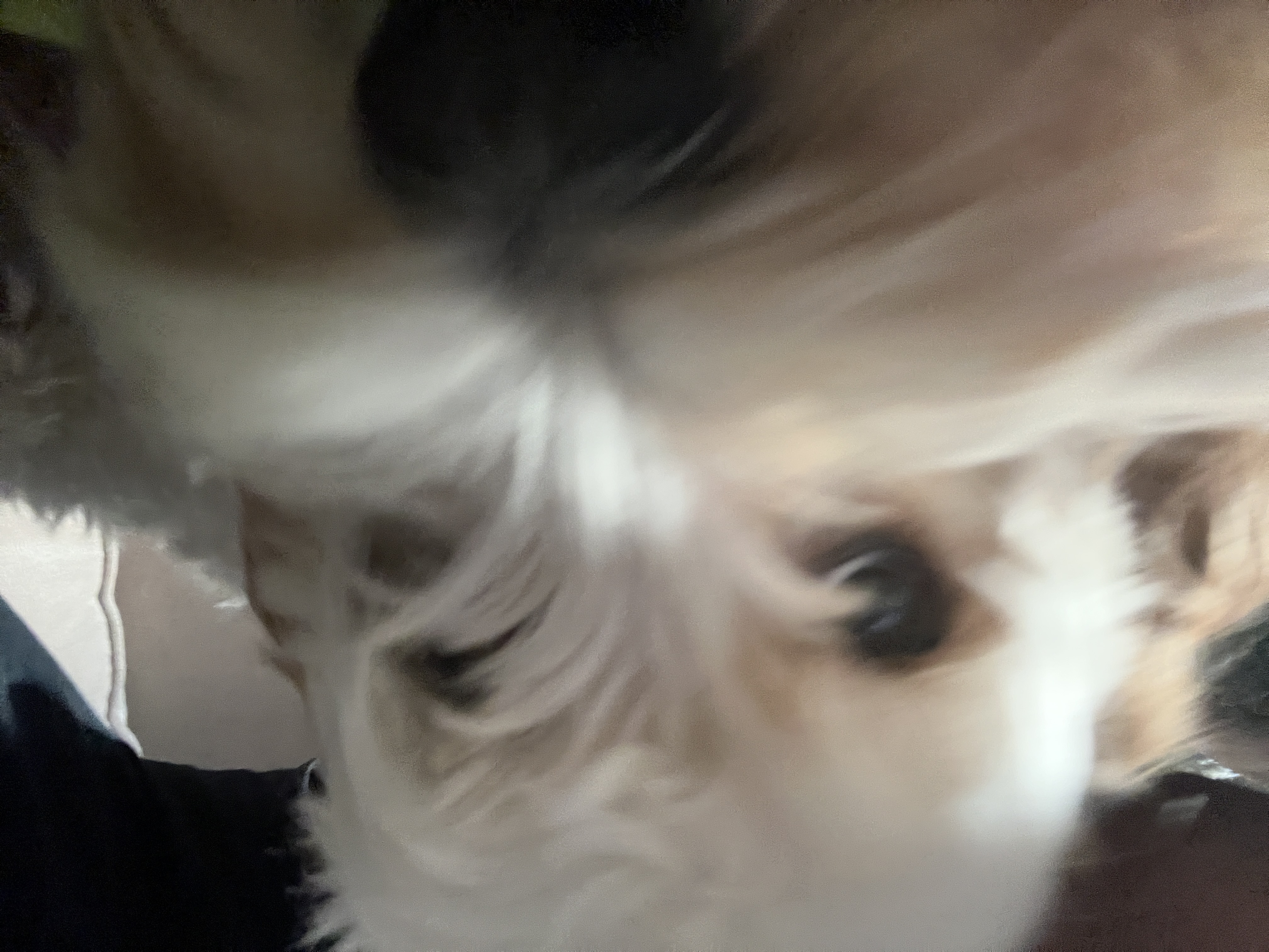 1779063605016 4n58ib IMG 6430