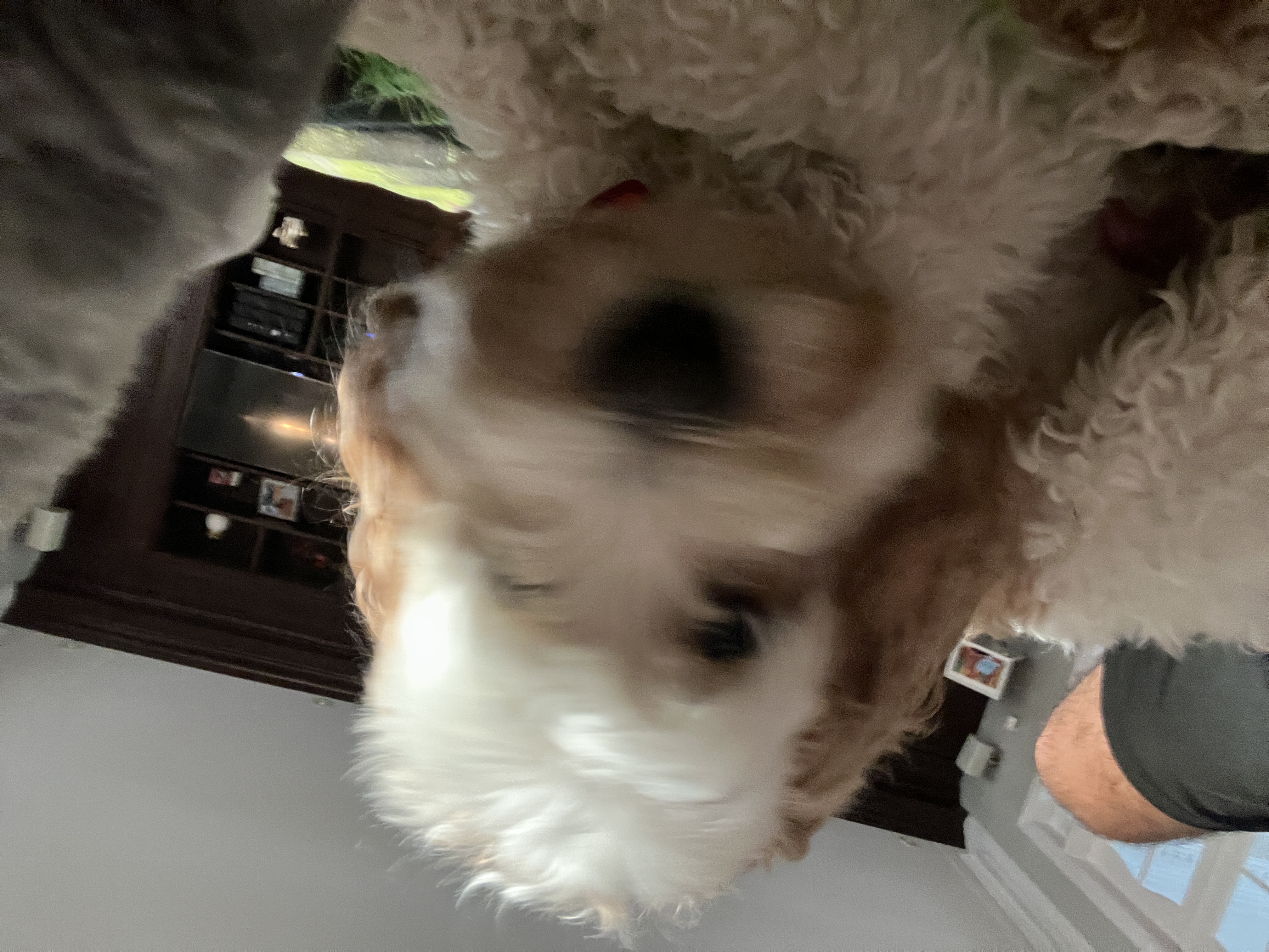 1779063606353 jrsu0c IMG 6420