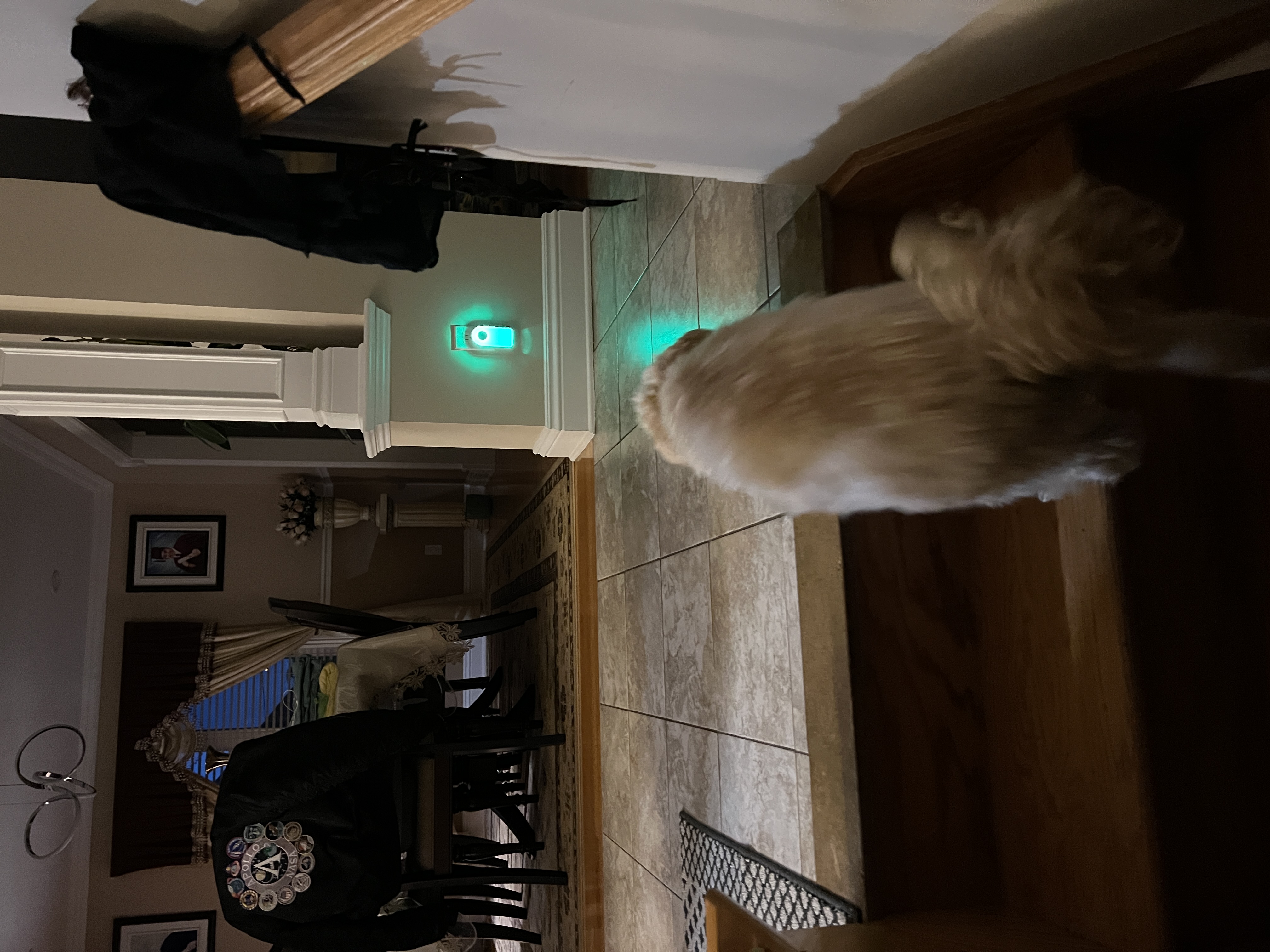 1779063606652 3gvv2x IMG 6605